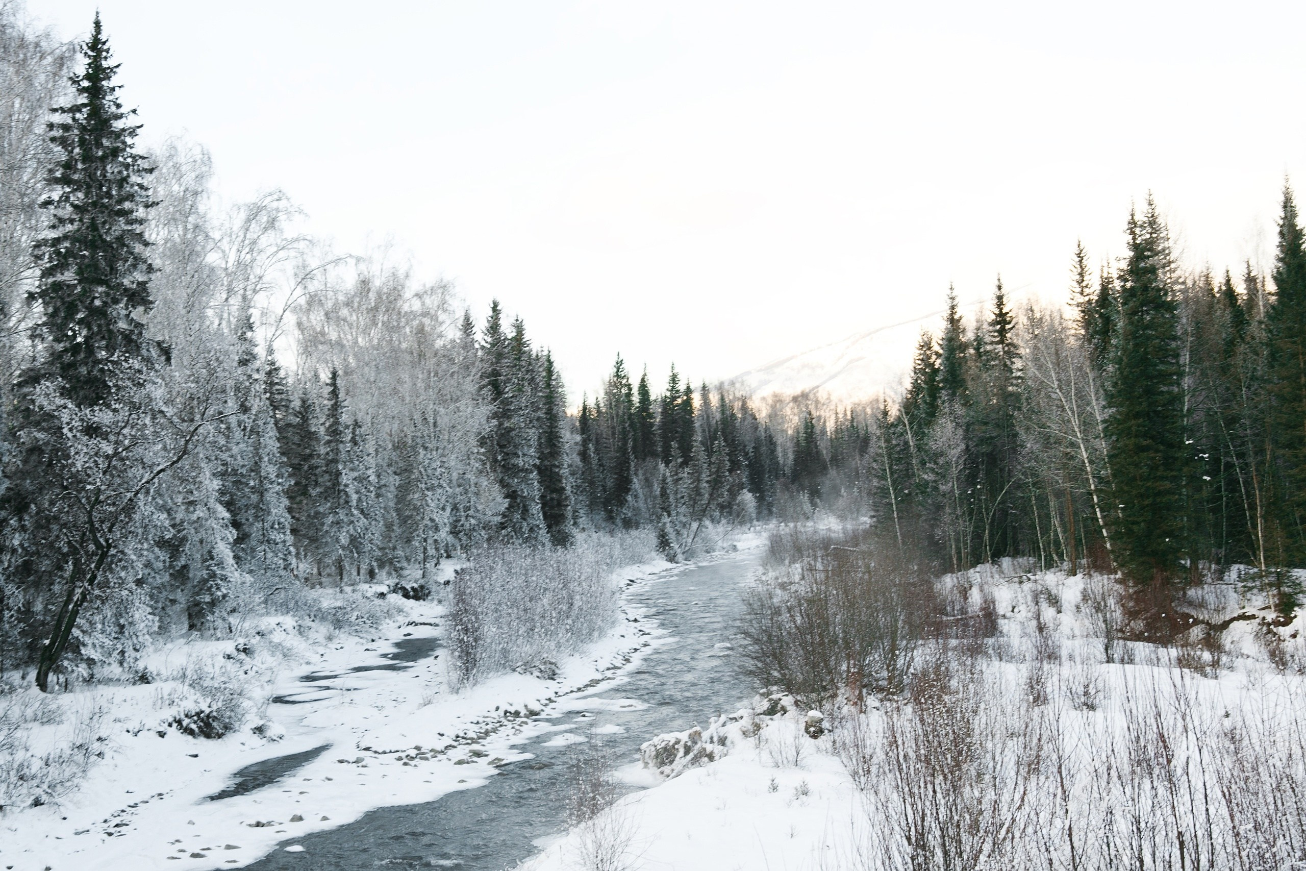 Галерея моих работ. AISA Foto