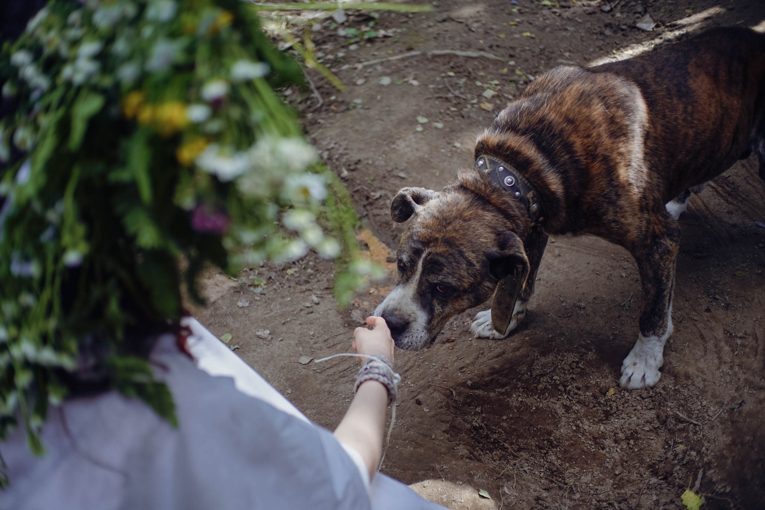 Праздник Ивана Купала. Федор Ратчин — фотограф