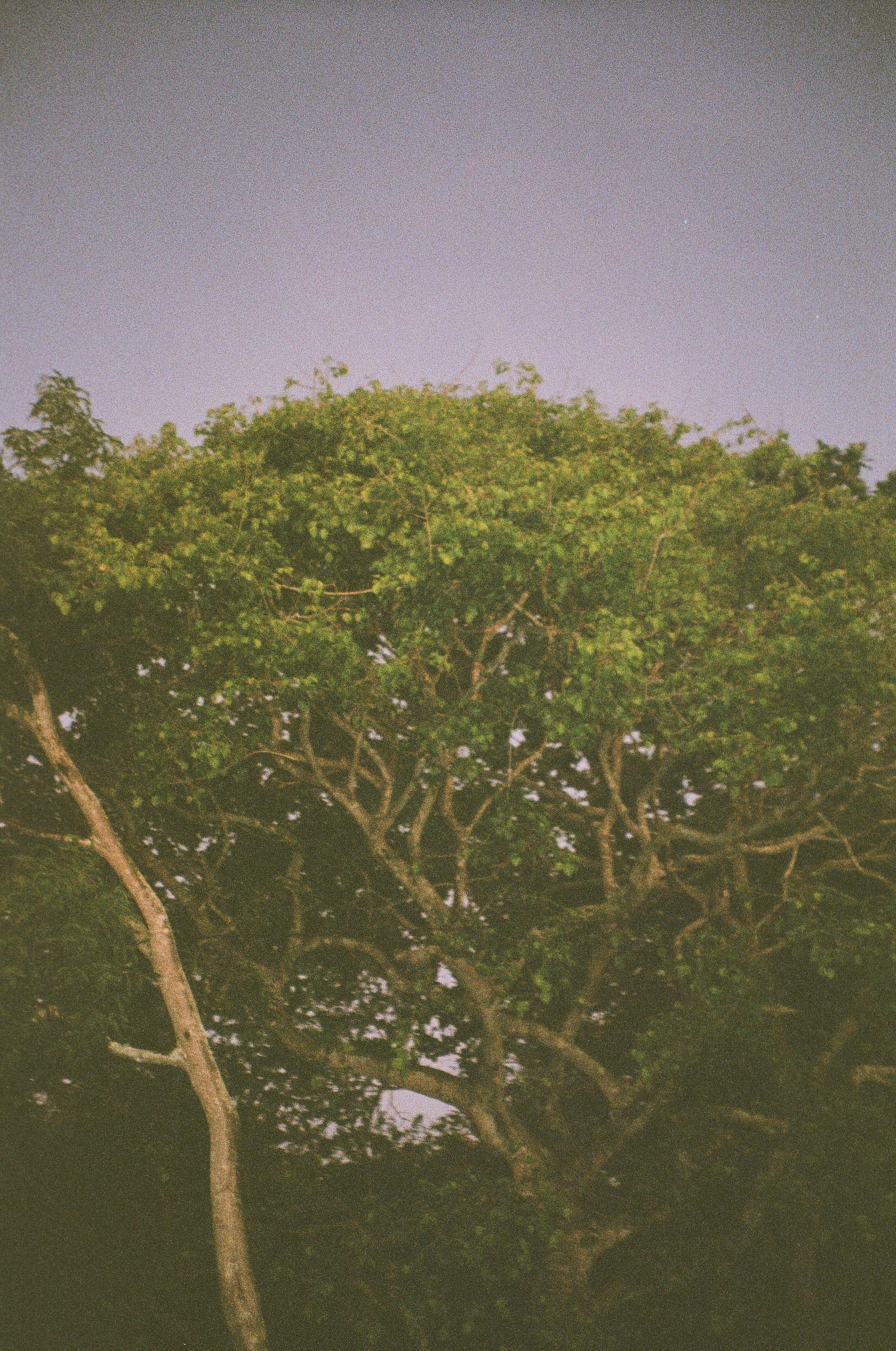 SOMEWHERE. Carolinetru