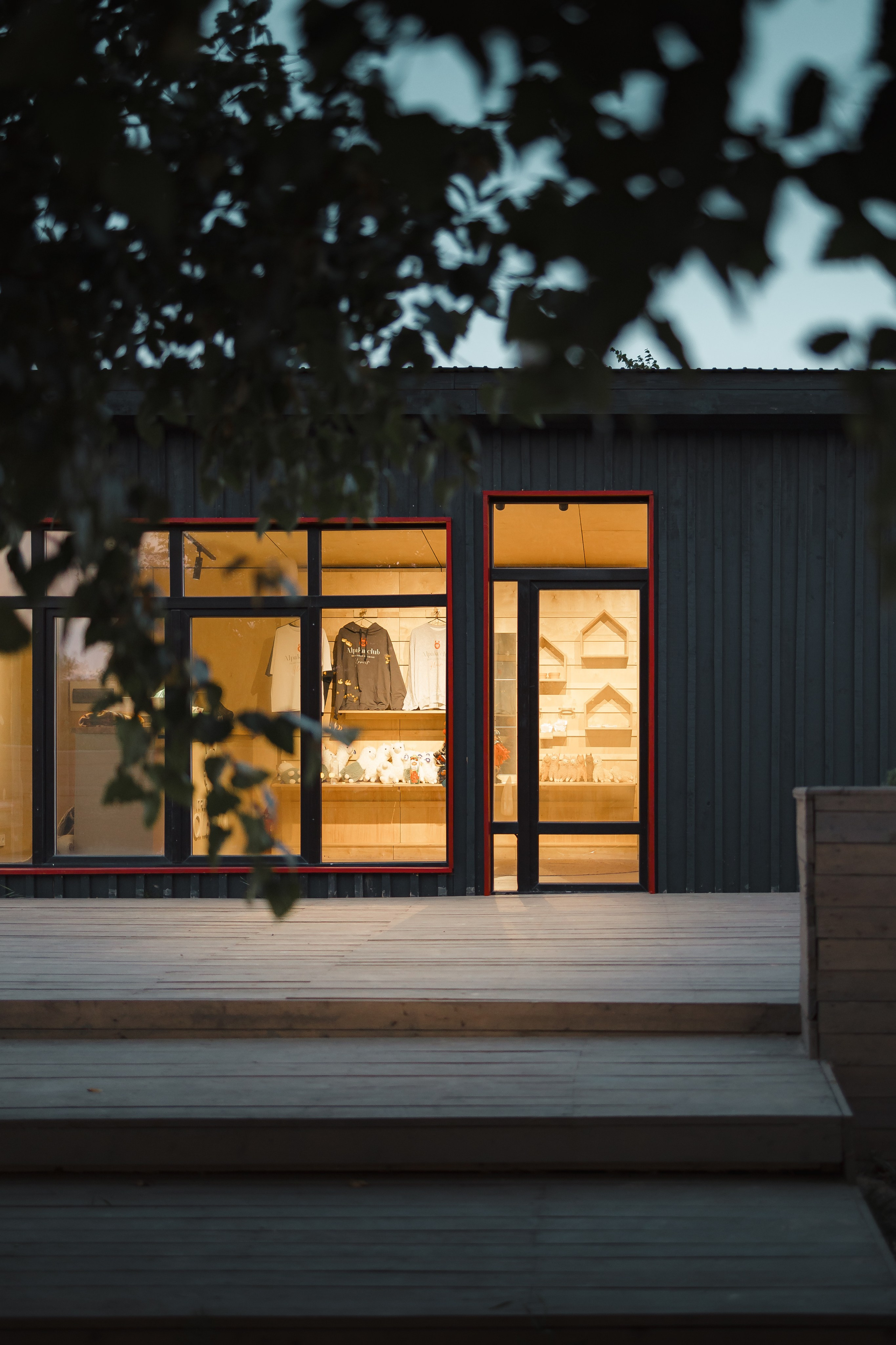 Приморские Альпаки. Портретный фотограф во Владивостоке Александр Сорокин