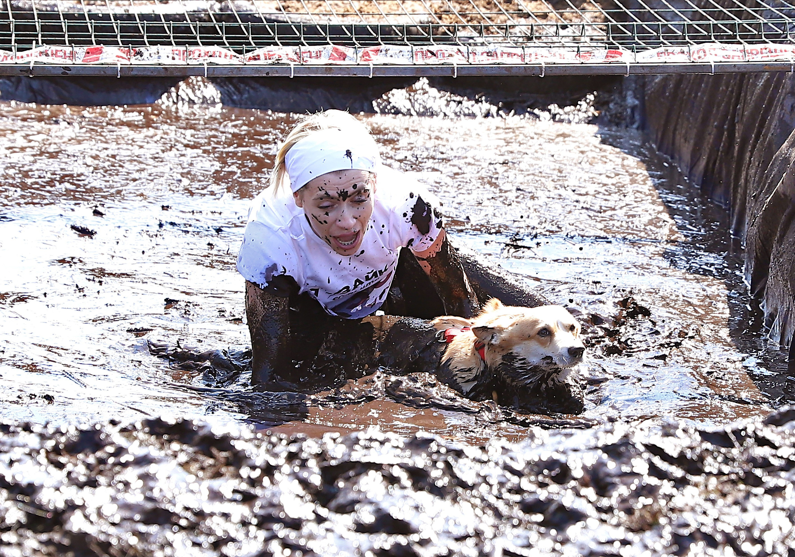 Хвостатый драйв. Семейный и детский фотограф в Москве и МО Елена Москвичева