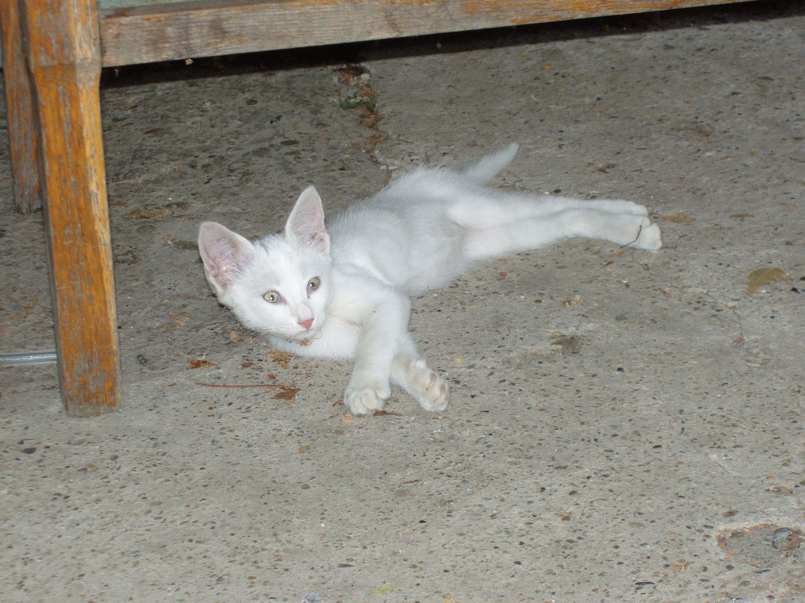 Отпуск 20.07-17.08. Семейный, Свадебный фотограф СПБ Питер— Романова Екатерина