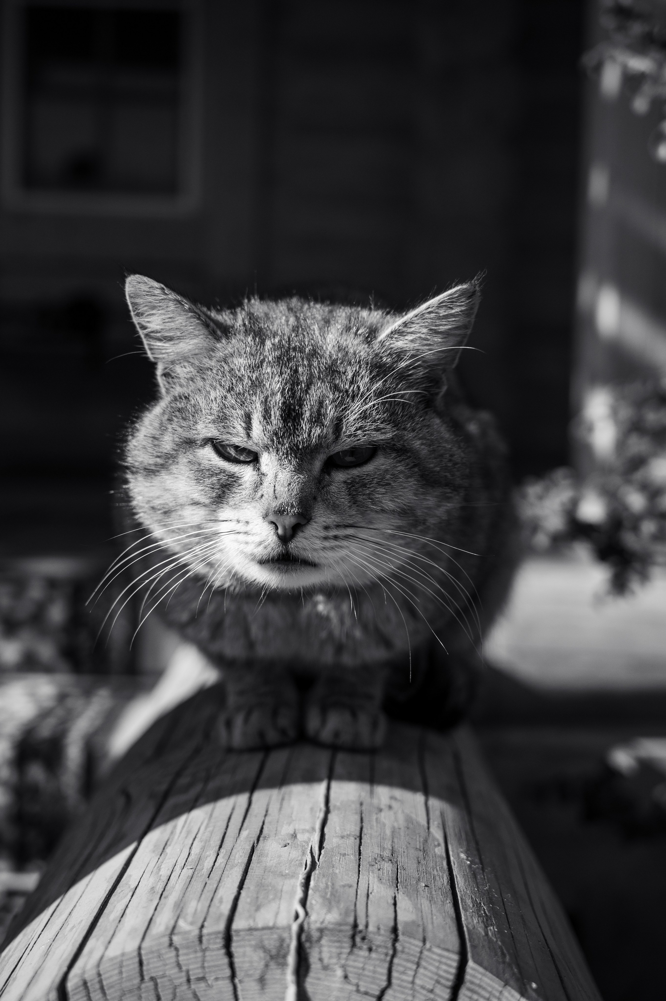 Речка. Фотограф Мария