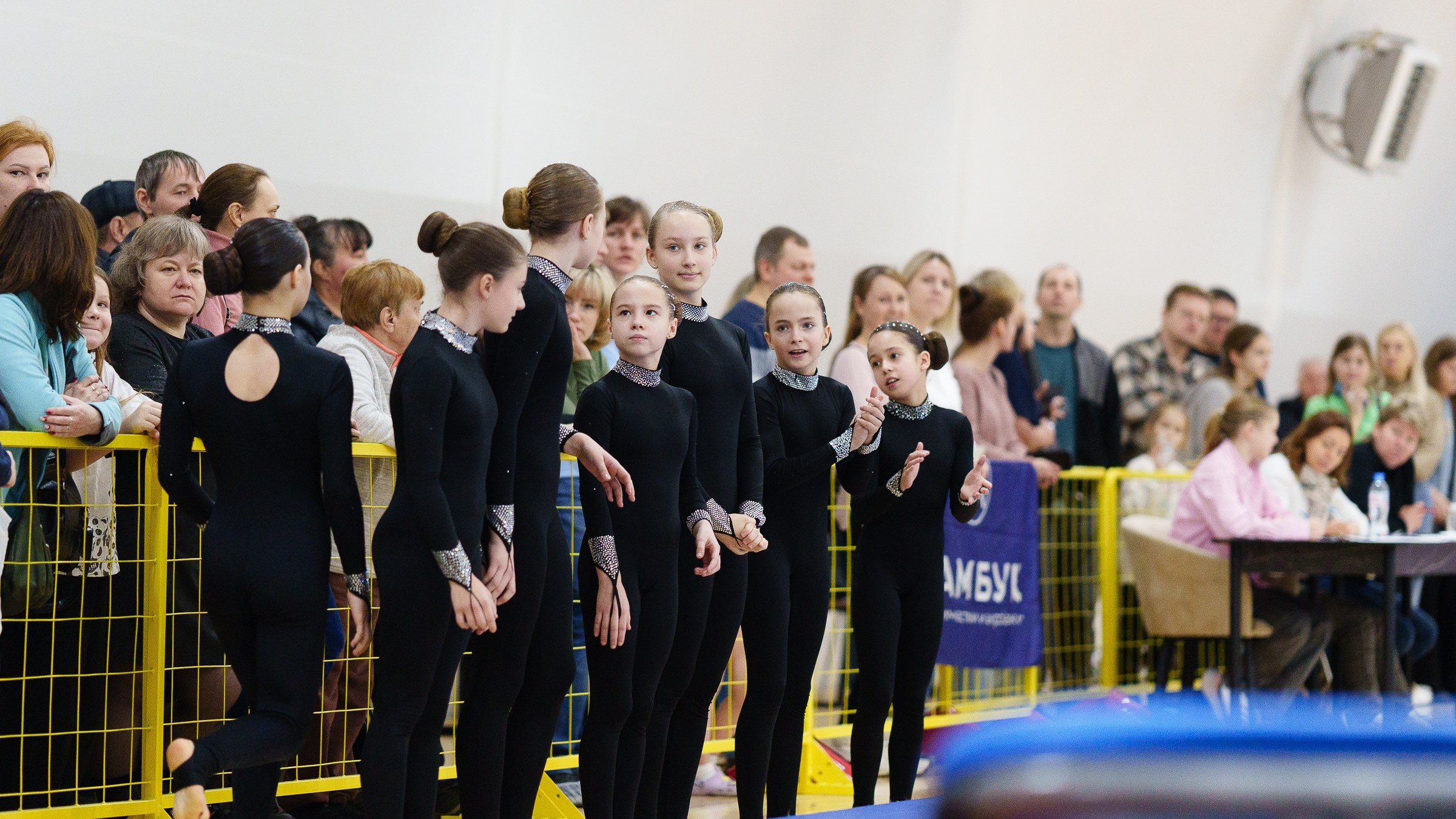 Гимнастика. Фотограф Москва