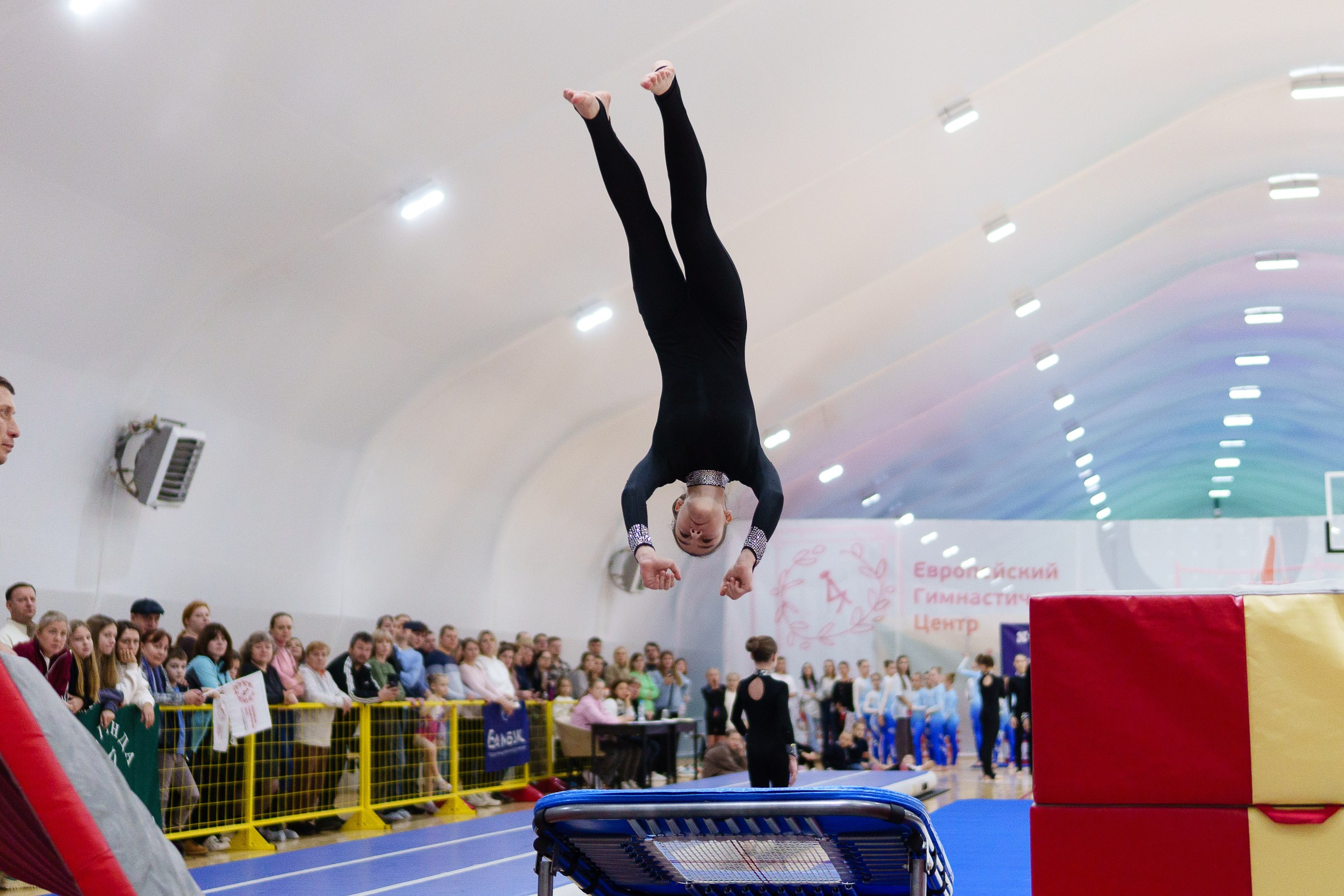Гимнастика. Фотограф Москва
