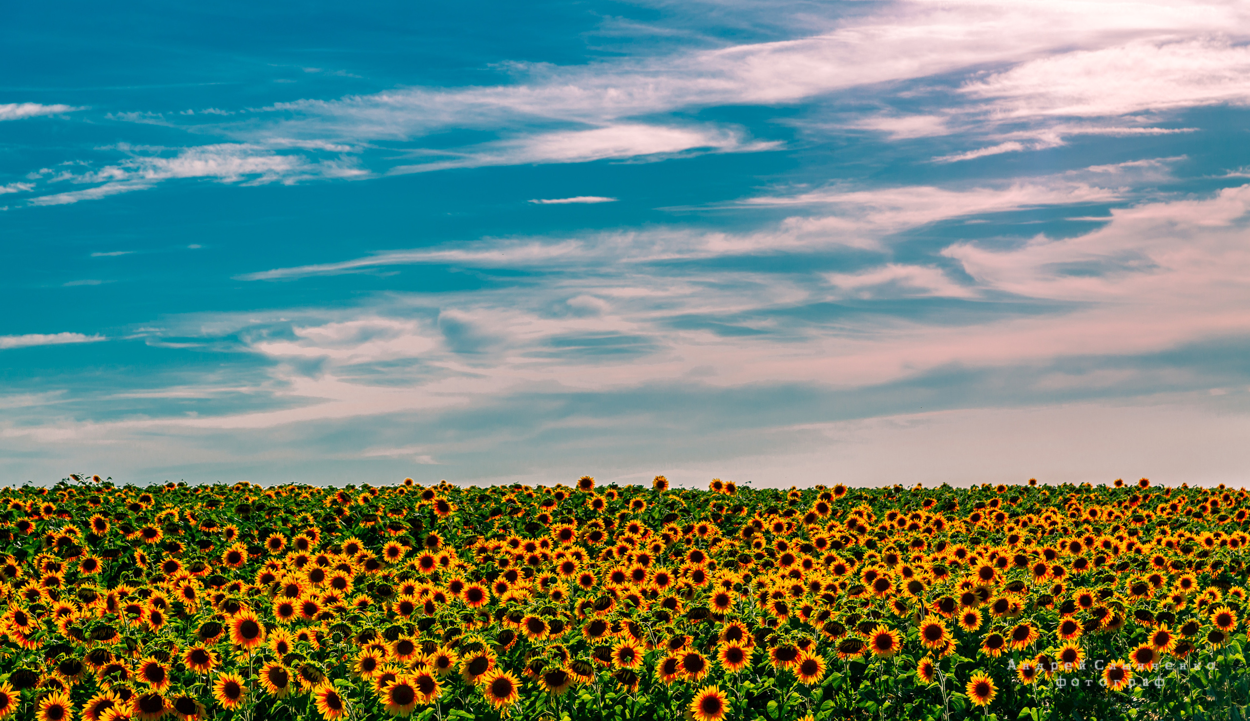 Street фото. Фотограф Андрей Слынченко