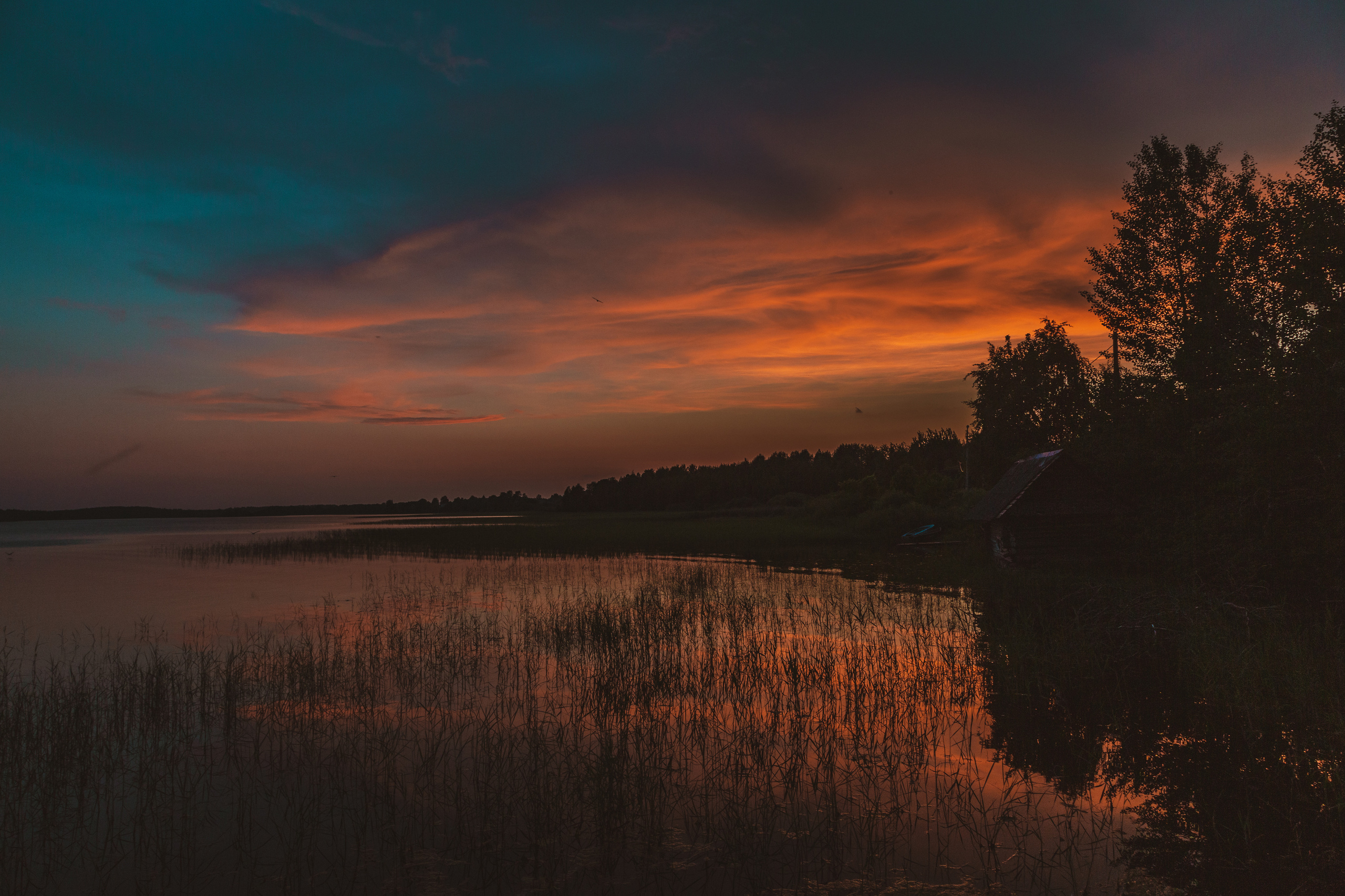 Street фото. Фотограф Андрей Слынченко
