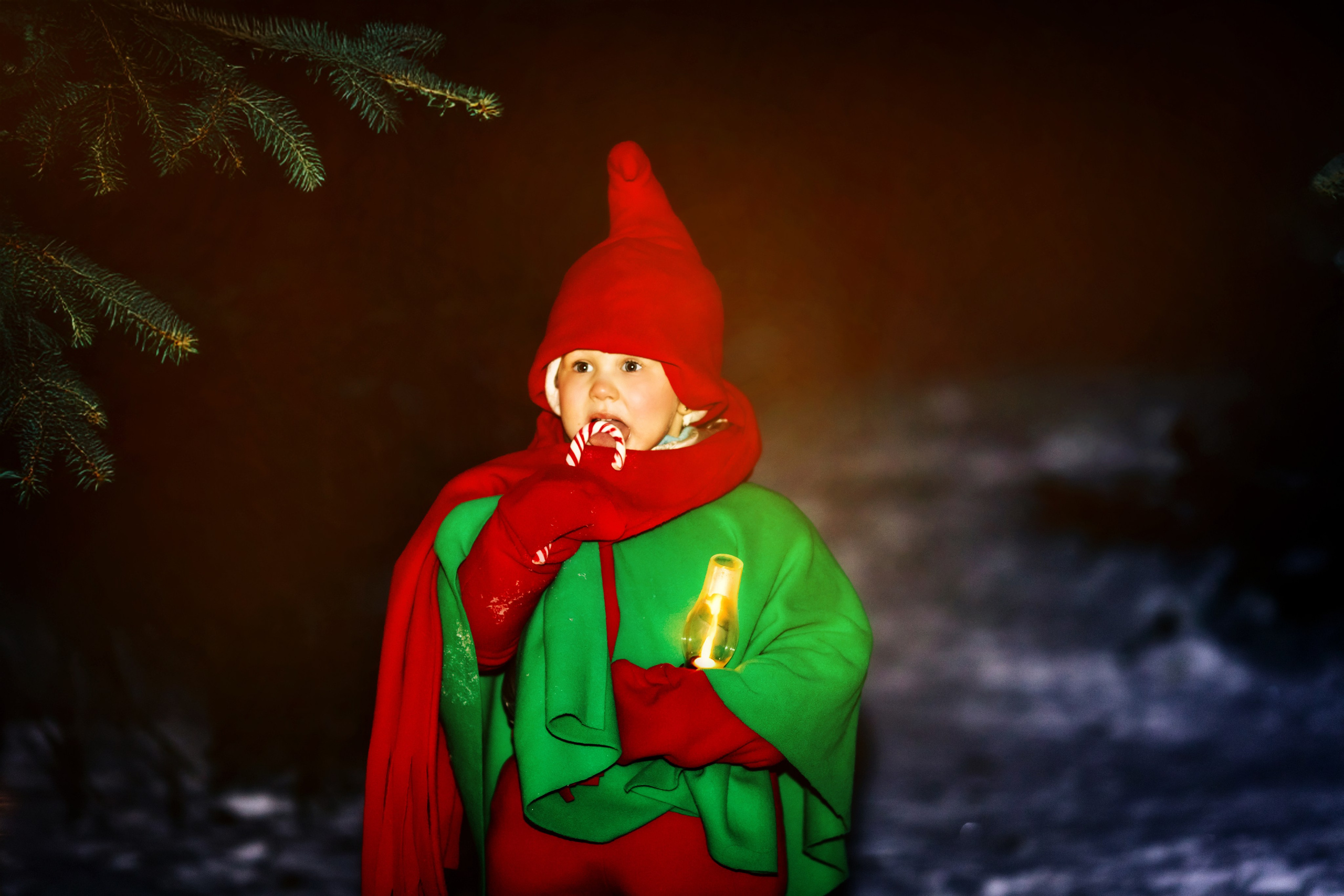 Новогодние гномики. Семейный, свадебный и детский фотограф в Новосибирске Ольга Хидченко