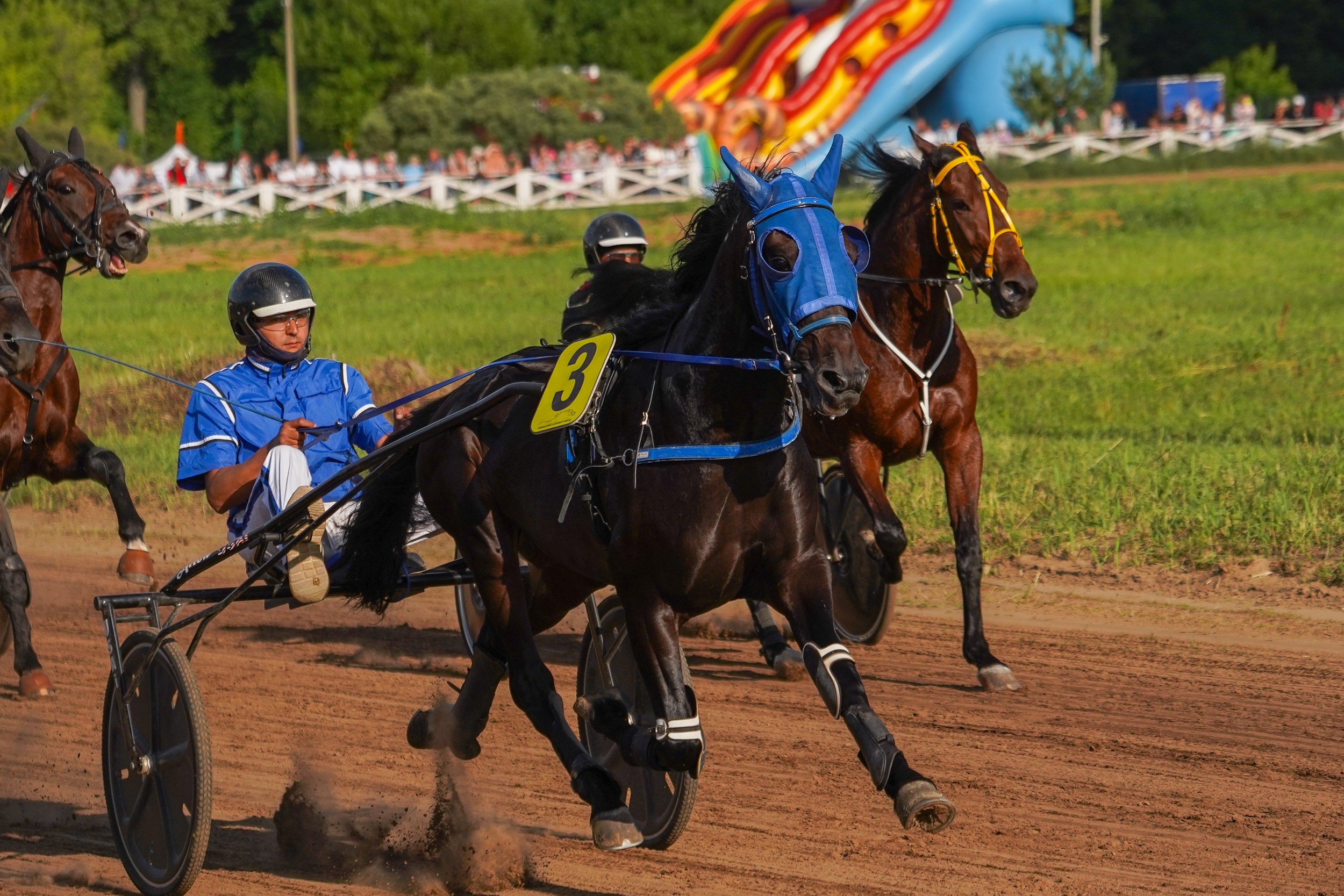 III конные бега на Кубок Главы Чувашии. Фотограф-анималист, портретный фотограф в Чебоксарах Мария Садыкова