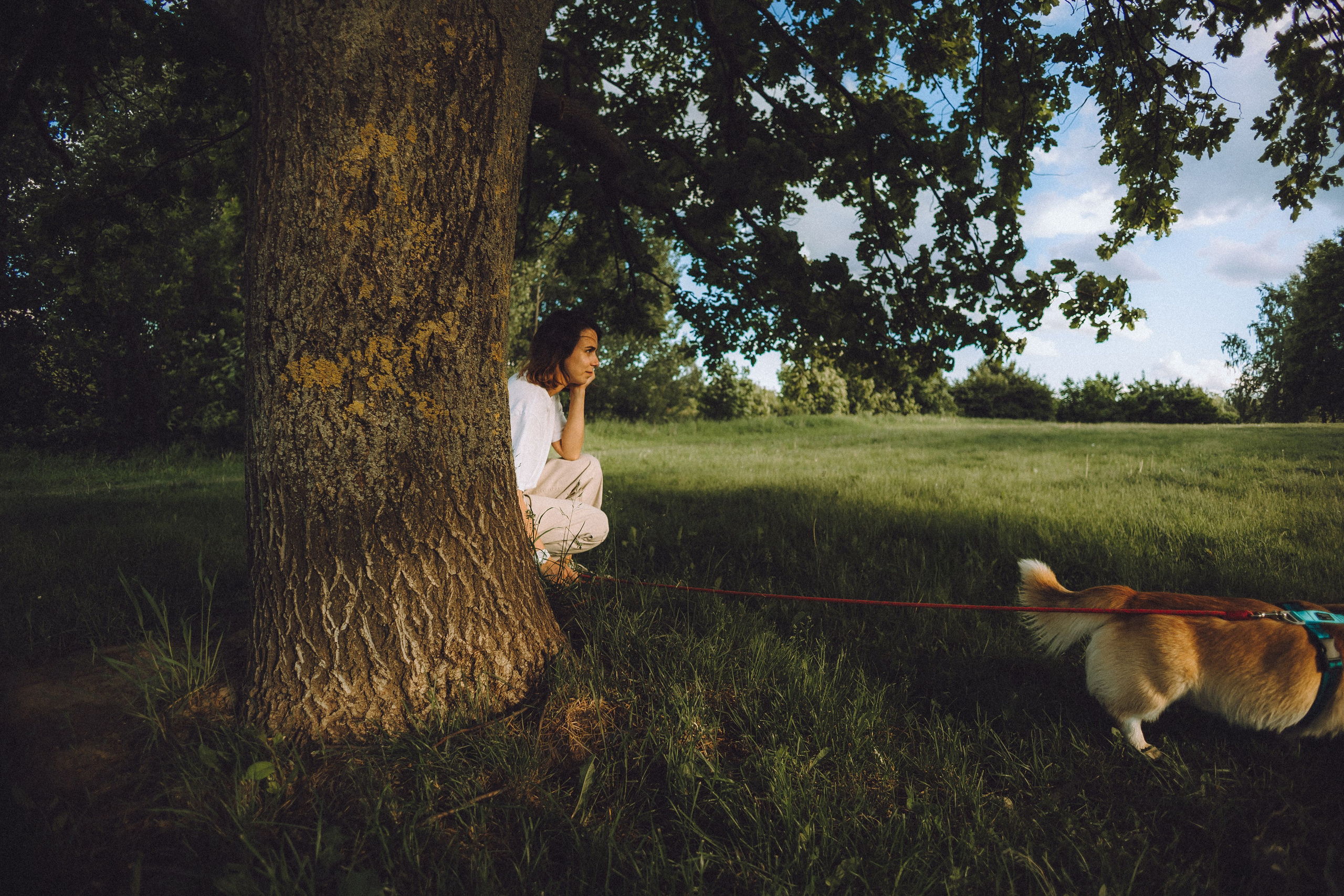 Вирджик и его семья
