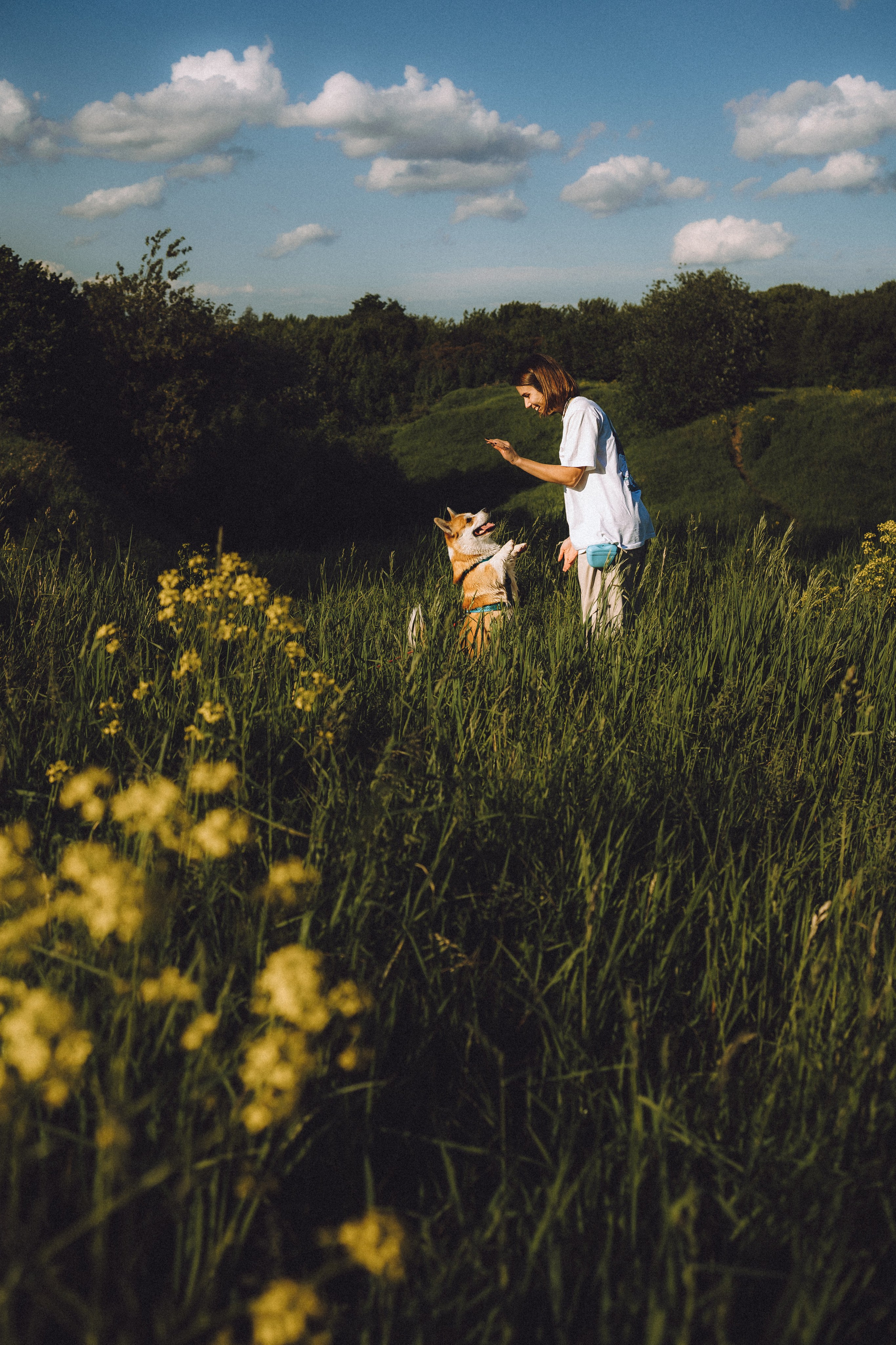 Вирджик и его семья