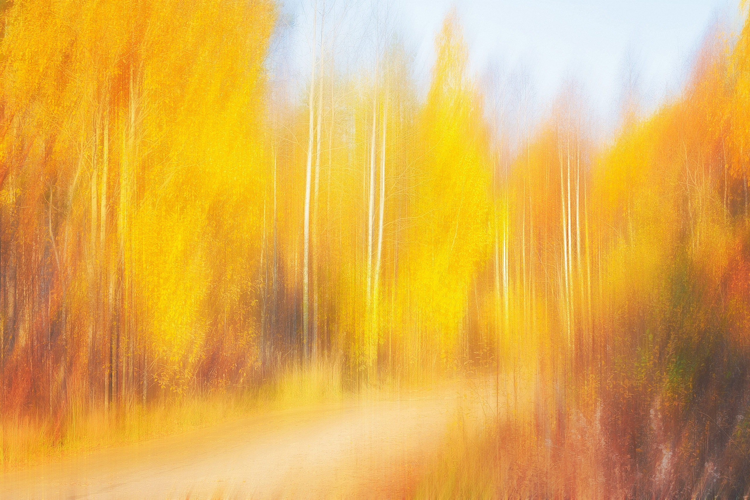 Фотограф, фотохудожник в городе Петрозаводске Анна Кондюкова