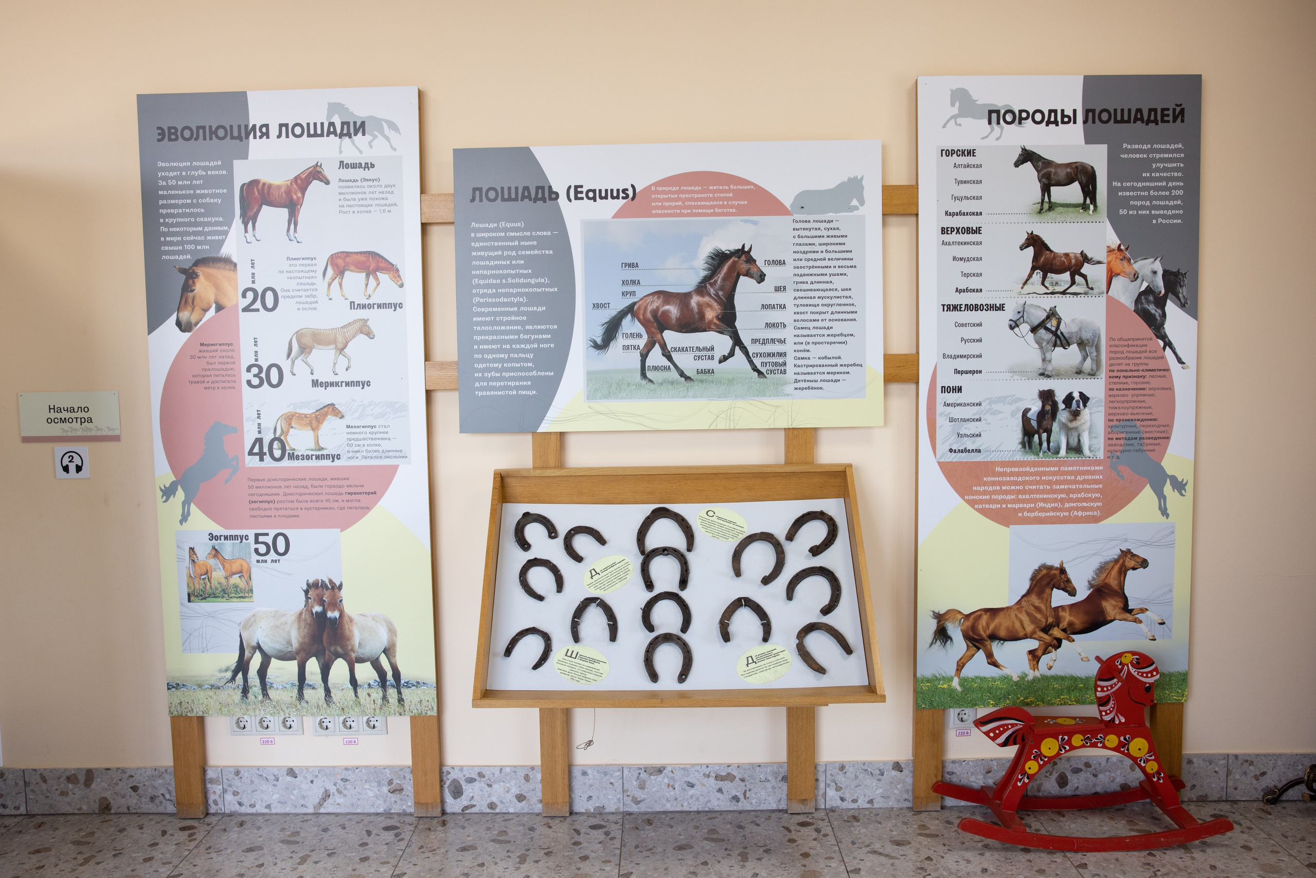 Поездка на поле Кулеково. Фотограф в Туле Крупский АнДРей. Фотостудия «КАДР71» в Туле