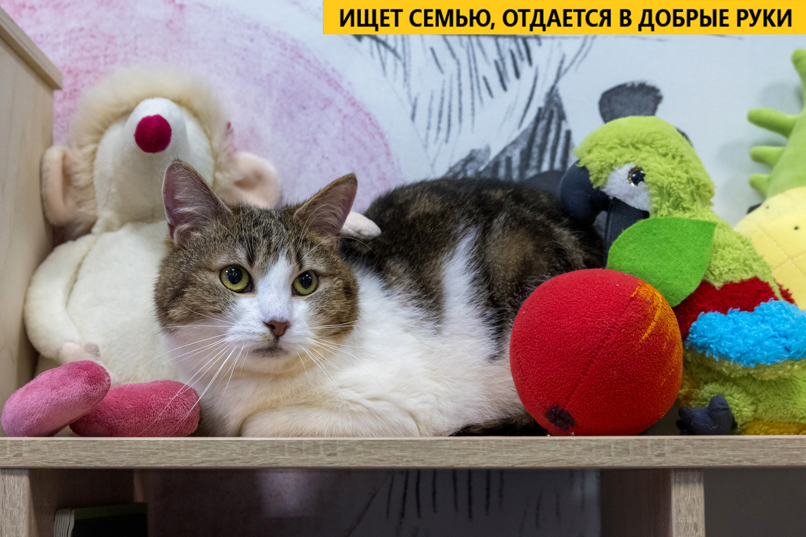 Рекламная съемка в Москве. Геннадий Степанов —фотограф в Москве