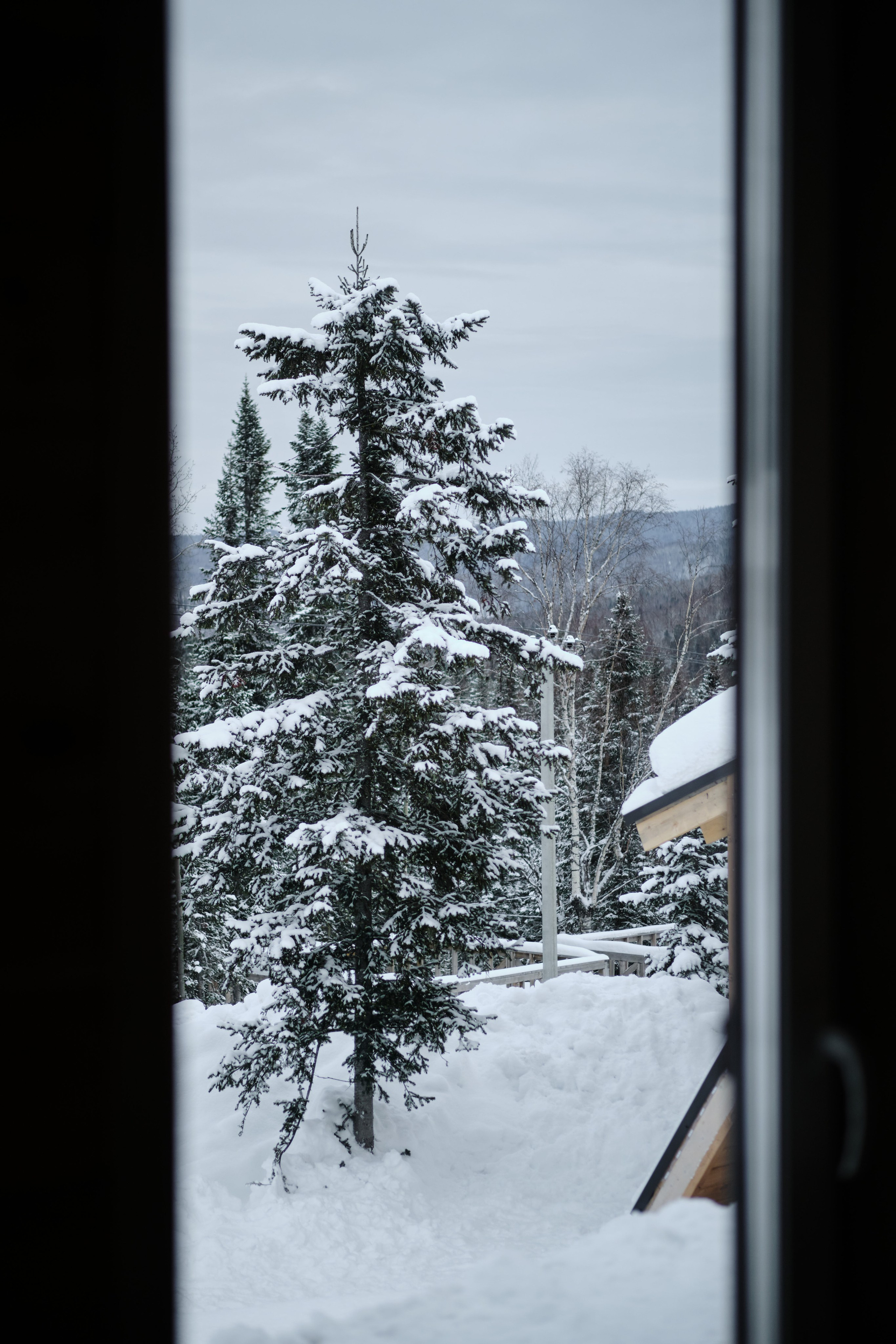 Ледовая 59 Дом 1. Свадебный и семейный фотограф в Новокузнецке Иван Иванов