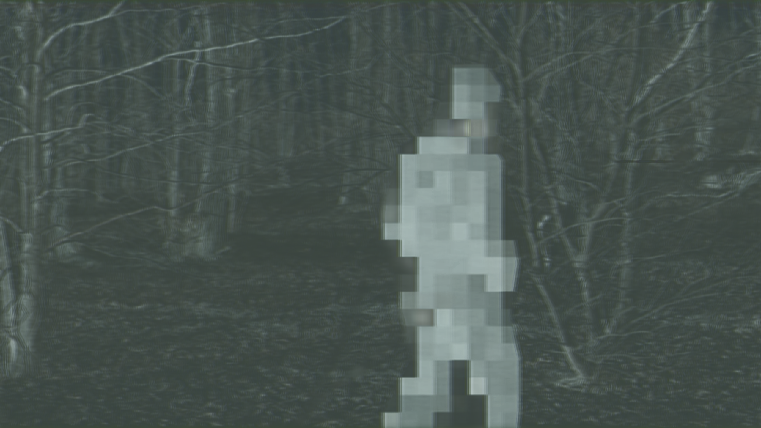 STRANGERS. KSENIYA YATC