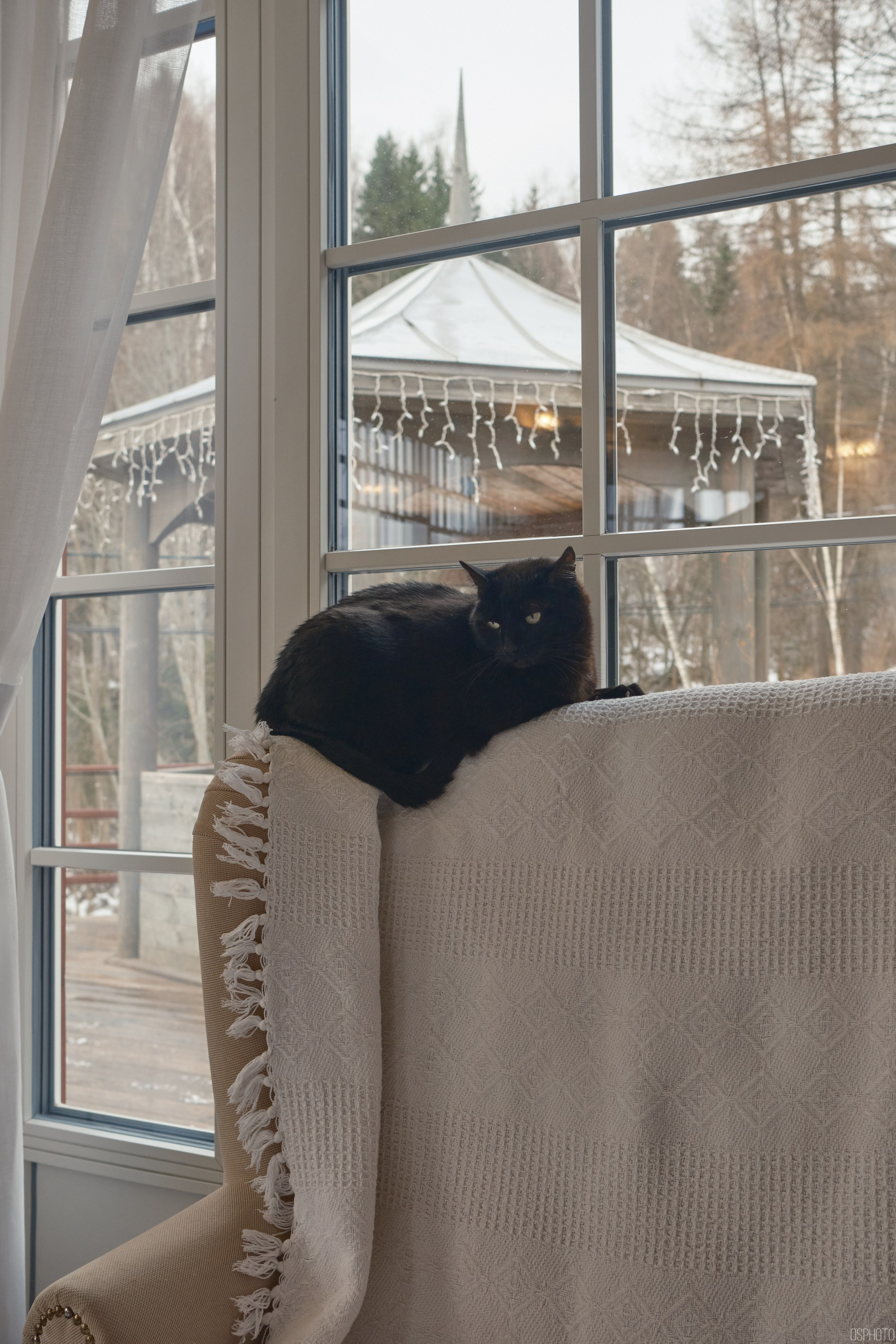 Плёс. Волга. Март. Фотографъ Сергѣевъ. Поймать мгновеніе