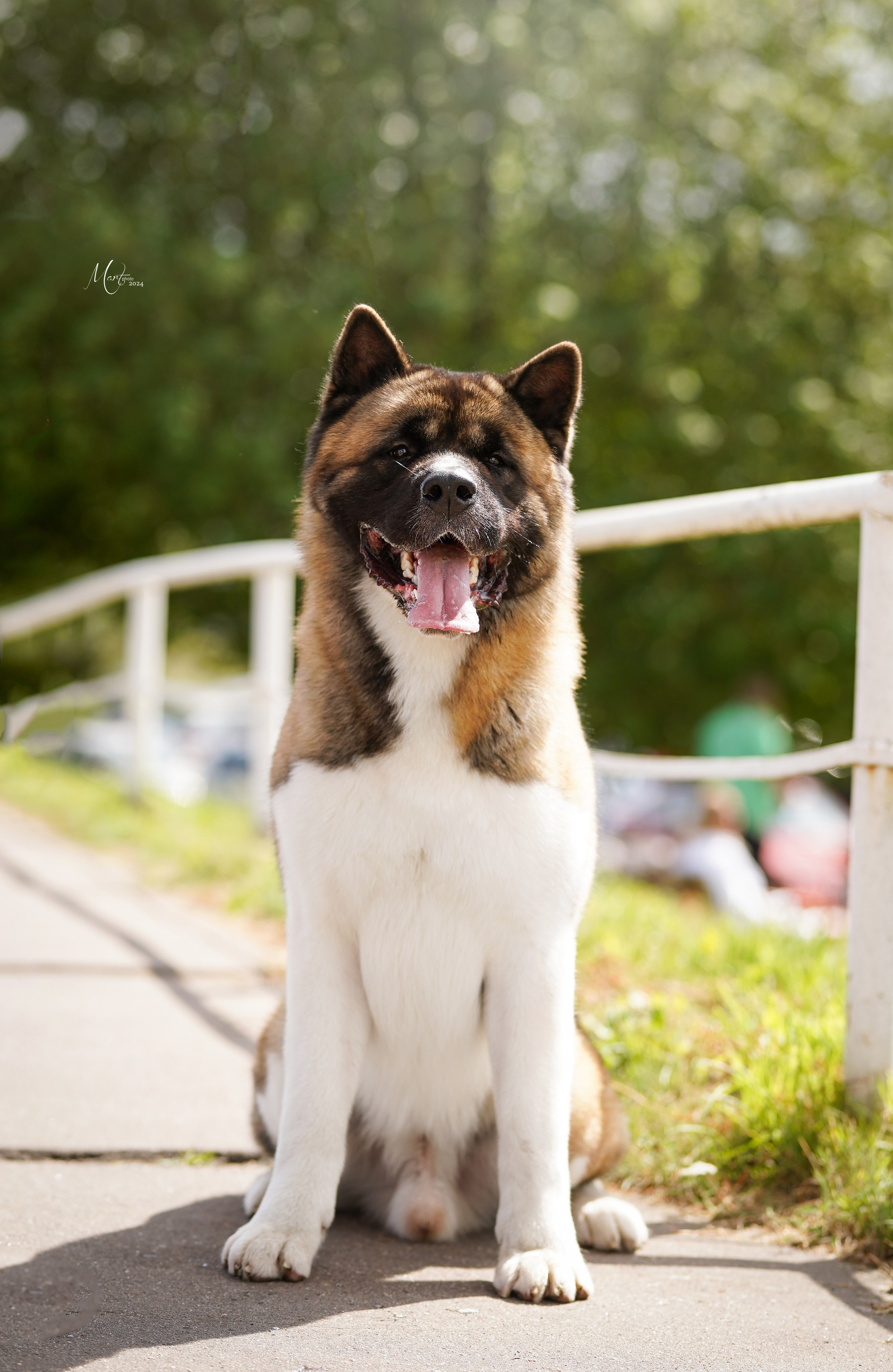 Выставки 2024. Фотограф-анималист в Санкт-Петербурге Яна Мартынова