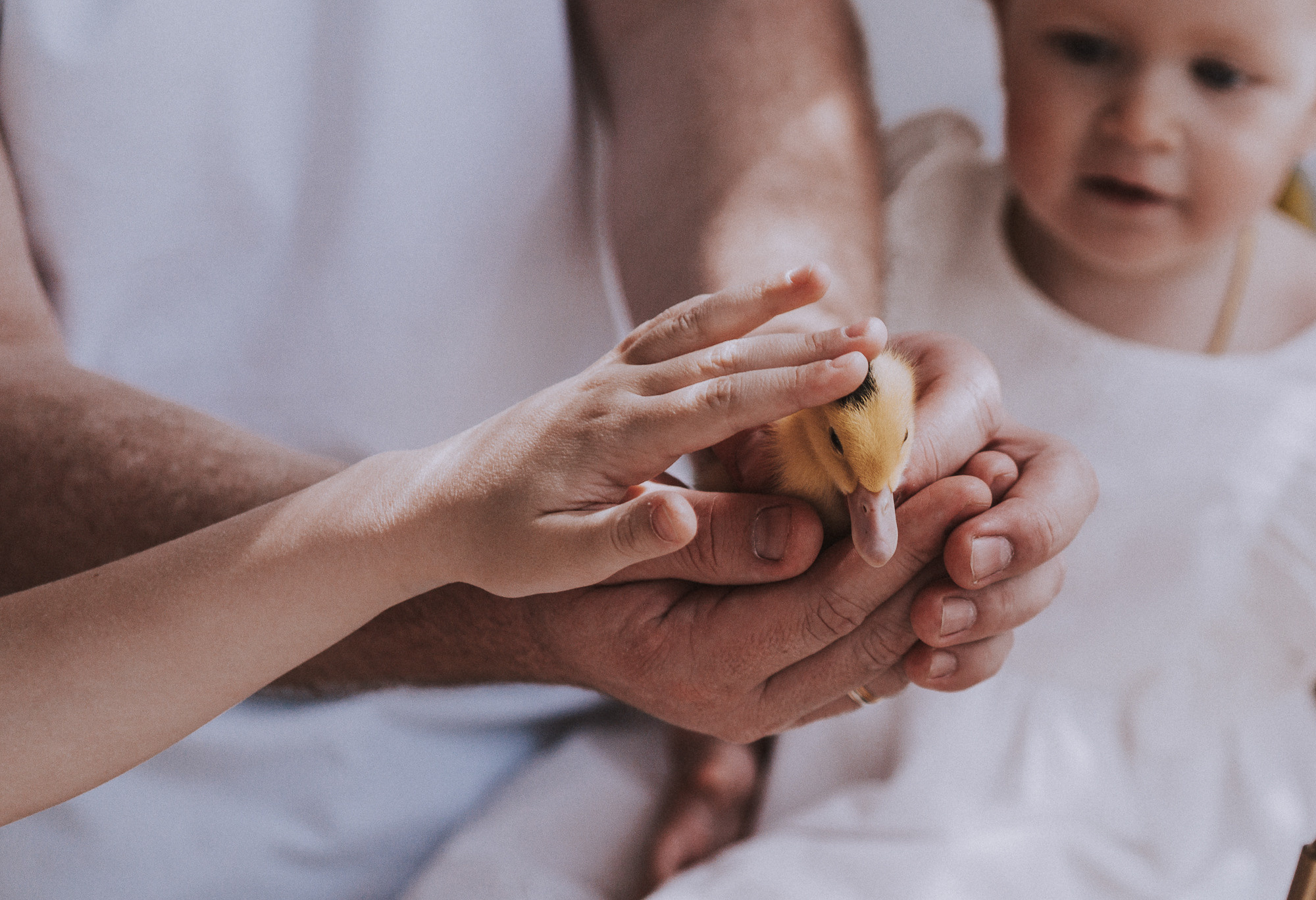 22/05/21. Фотограф в Москве Горбачева Алена