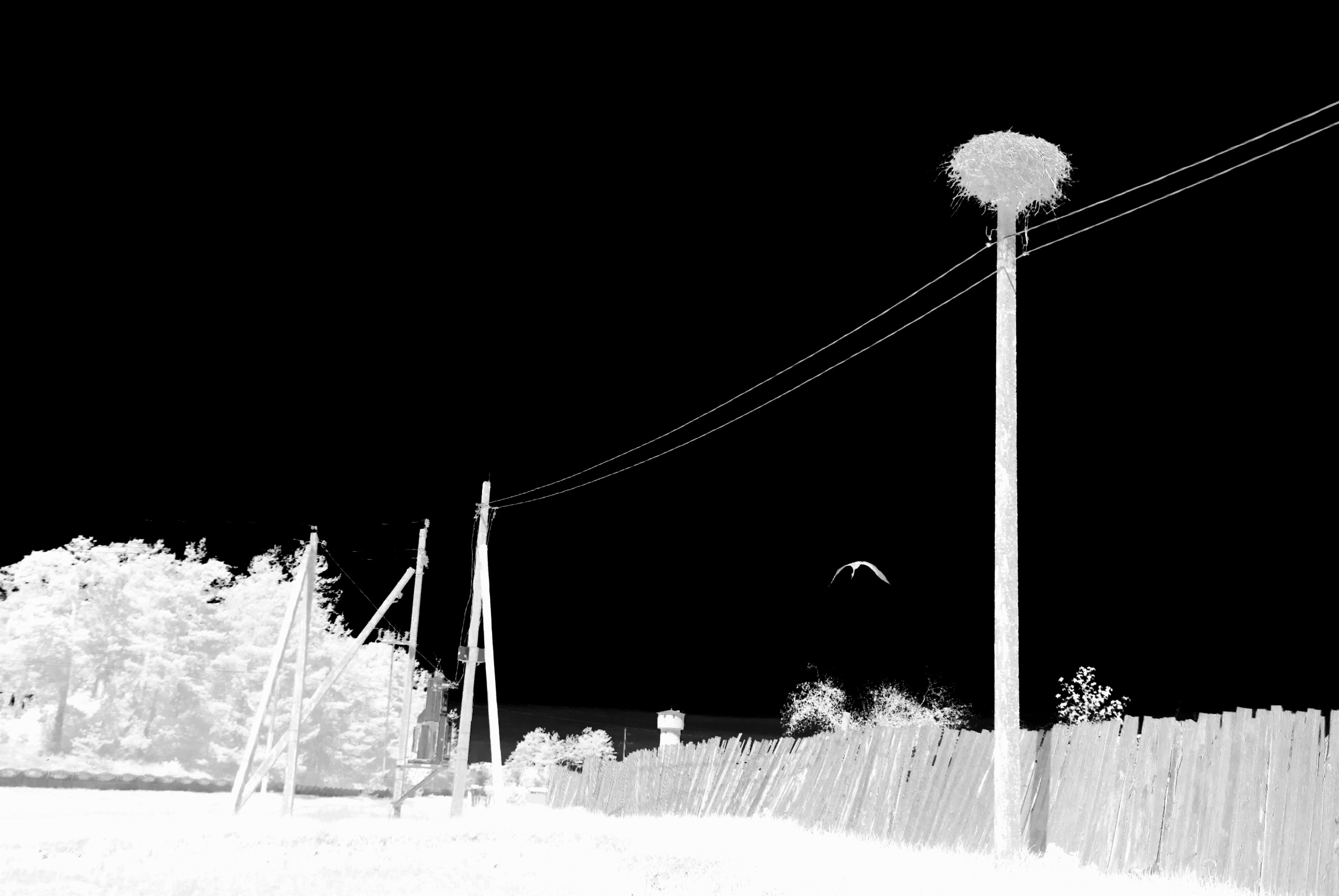 ЧБ  пейзажи (BnW landscape). Фотограф (photographer) Lischinski Vitaliy