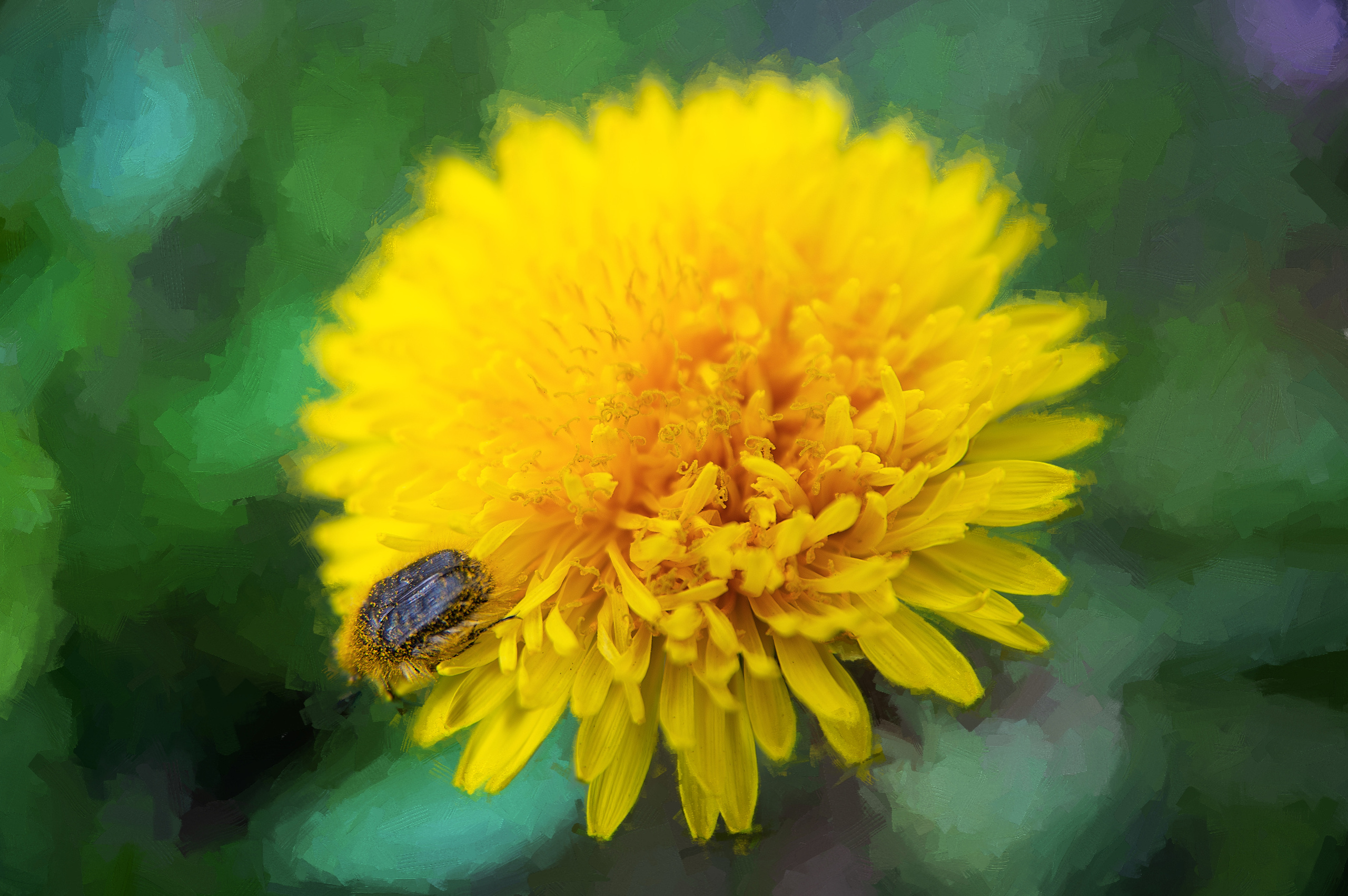 Фотокартины в Гомеле, картины в Гомеле