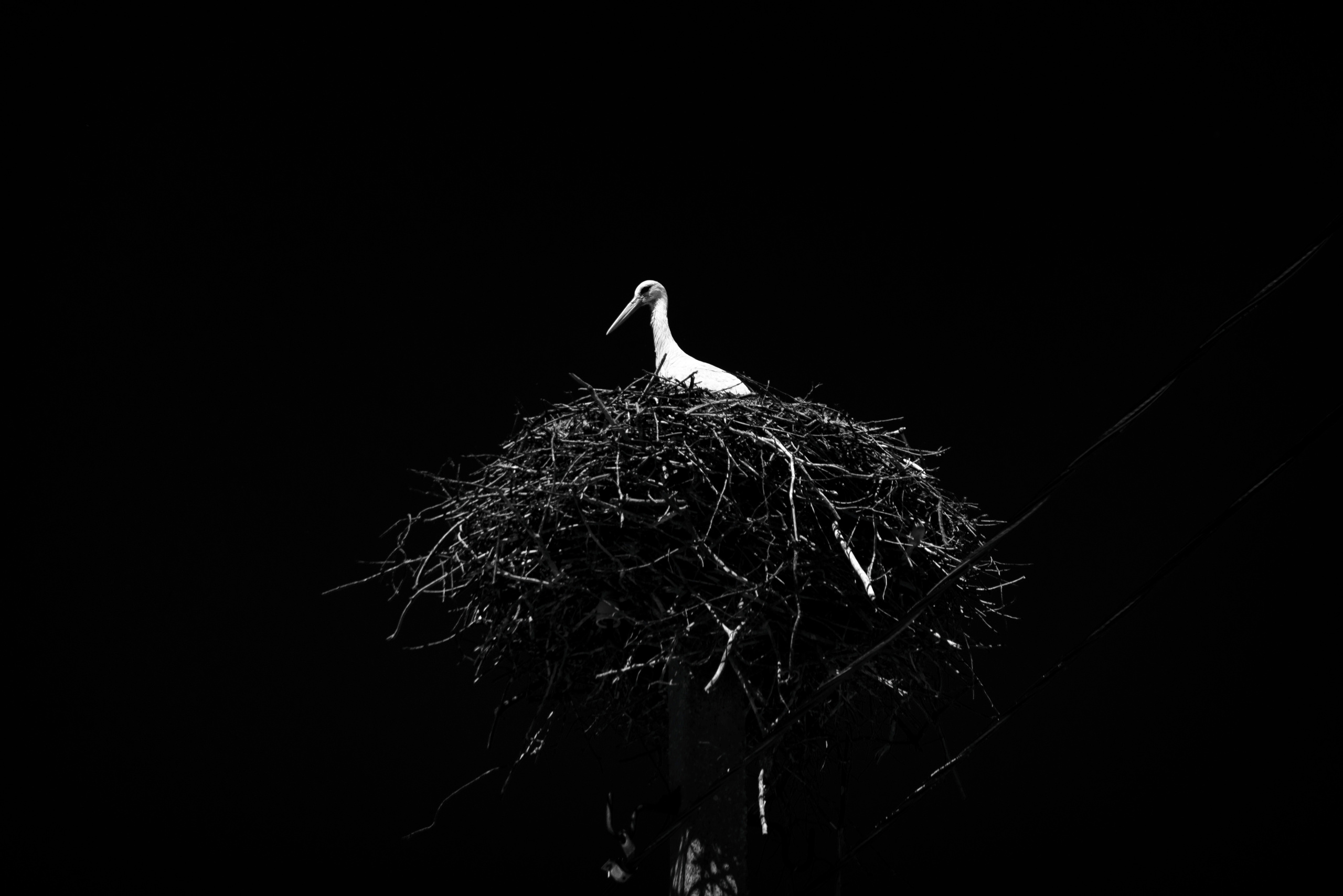 ЧБ  пейзажи (BnW landscape). Фотограф (photographer) Lischinski Vitaliy