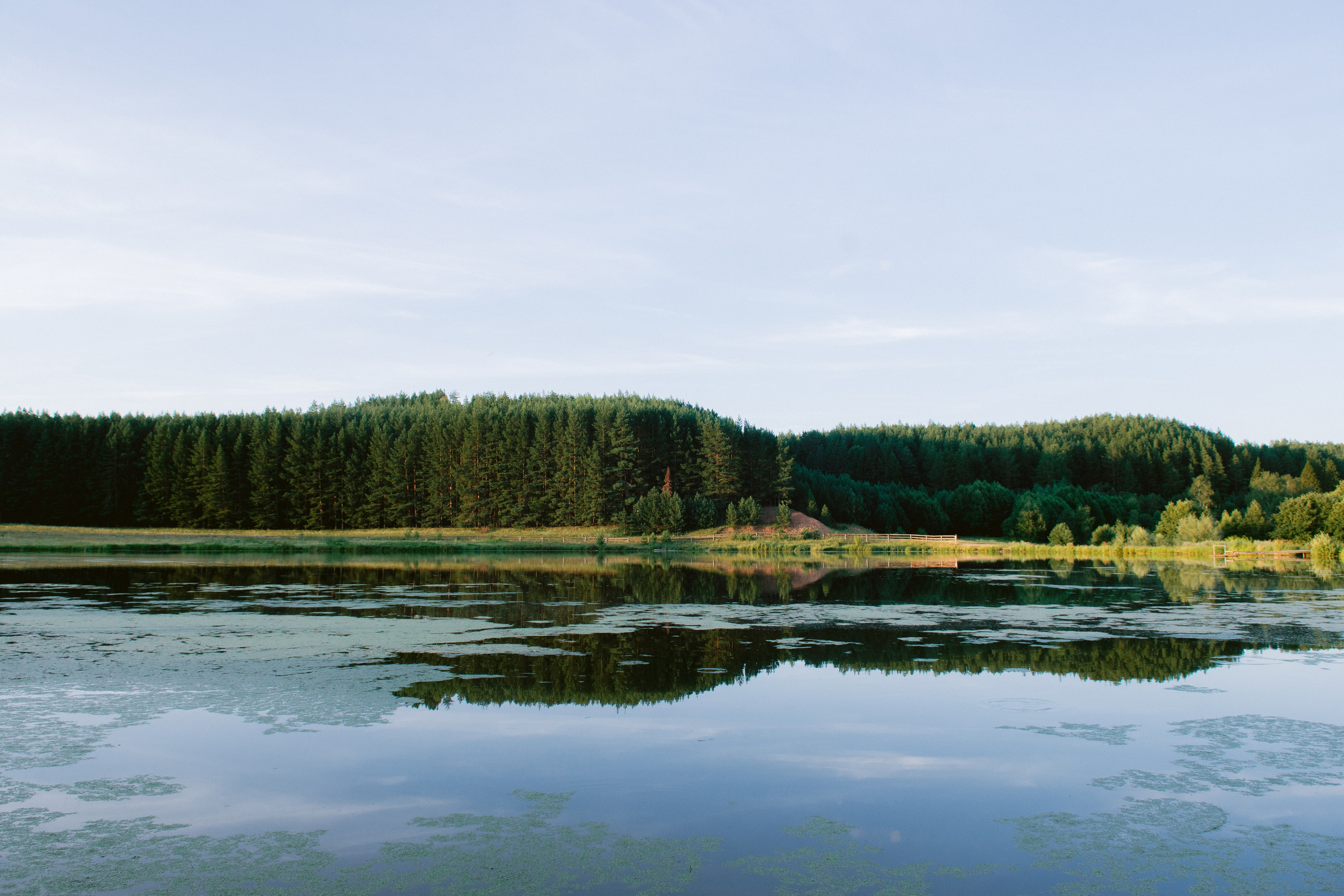 R&A. Свадебный фотограф Ижевск/Сарапул Анастасия Бель