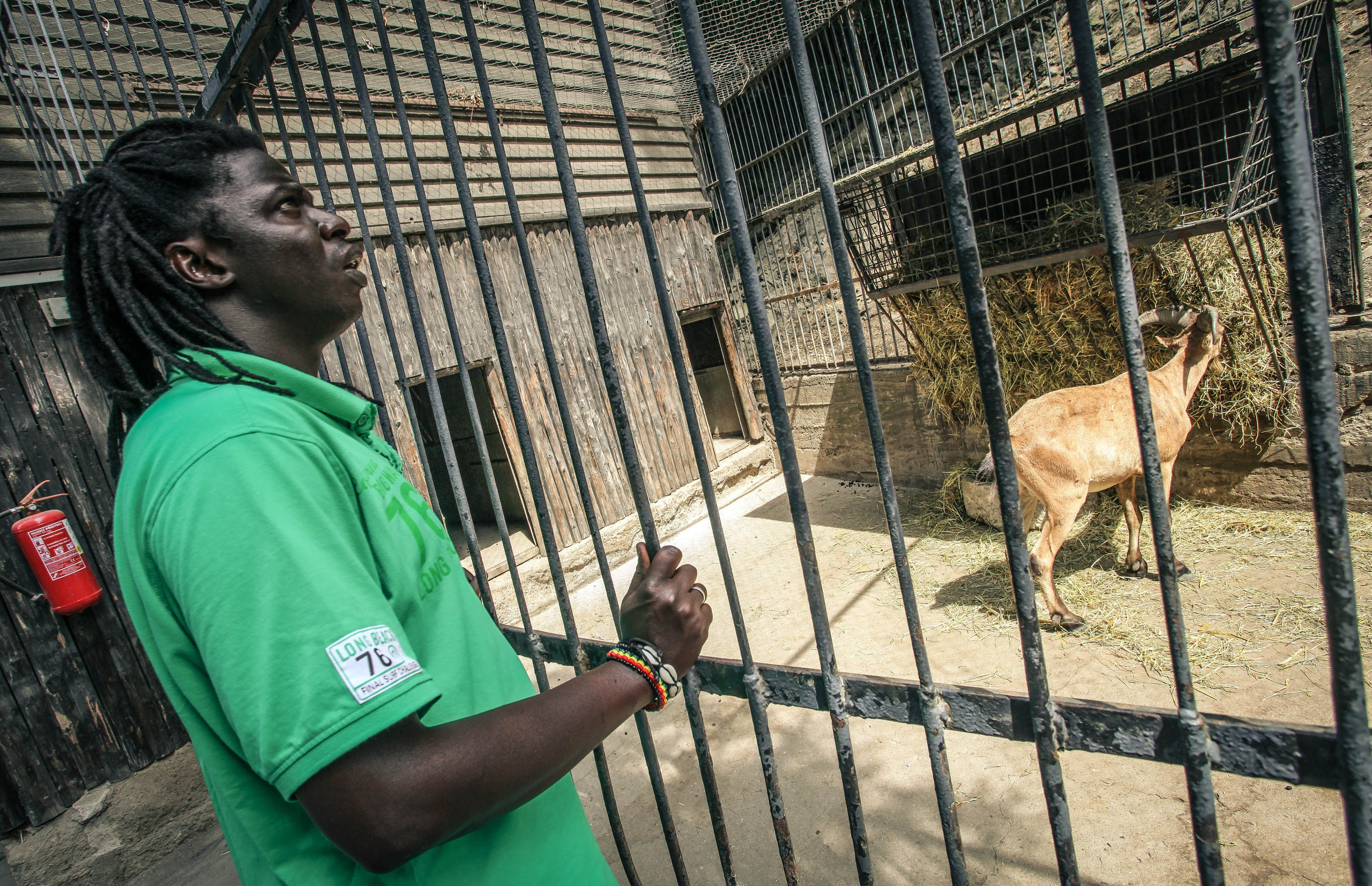 ЧЕХИЯ. Стрит-фотография, полная абсурда, идиотизма и красоты