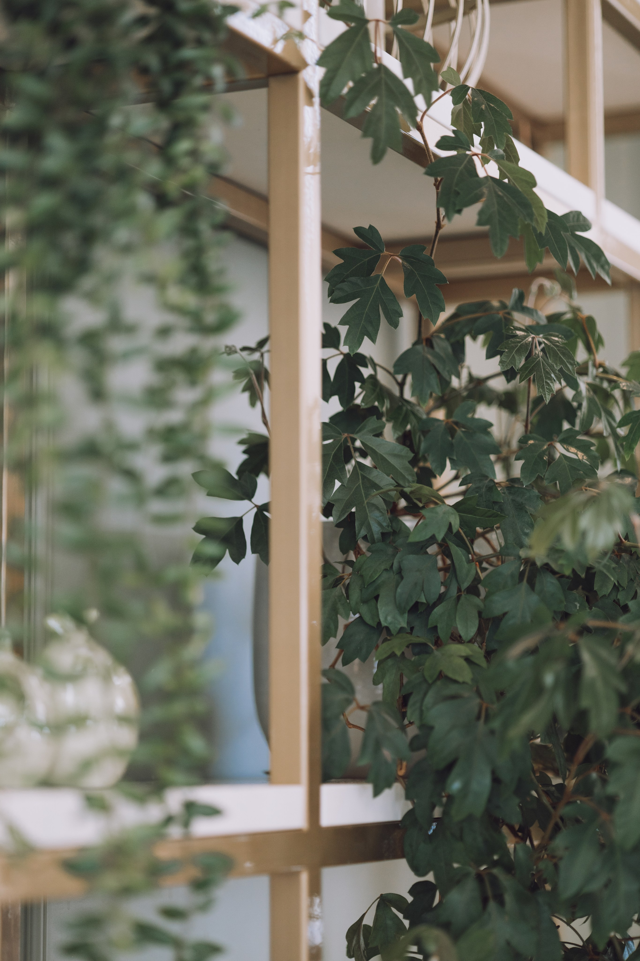 Даша и Максим. Репортажный фотограф Анастасия Головко