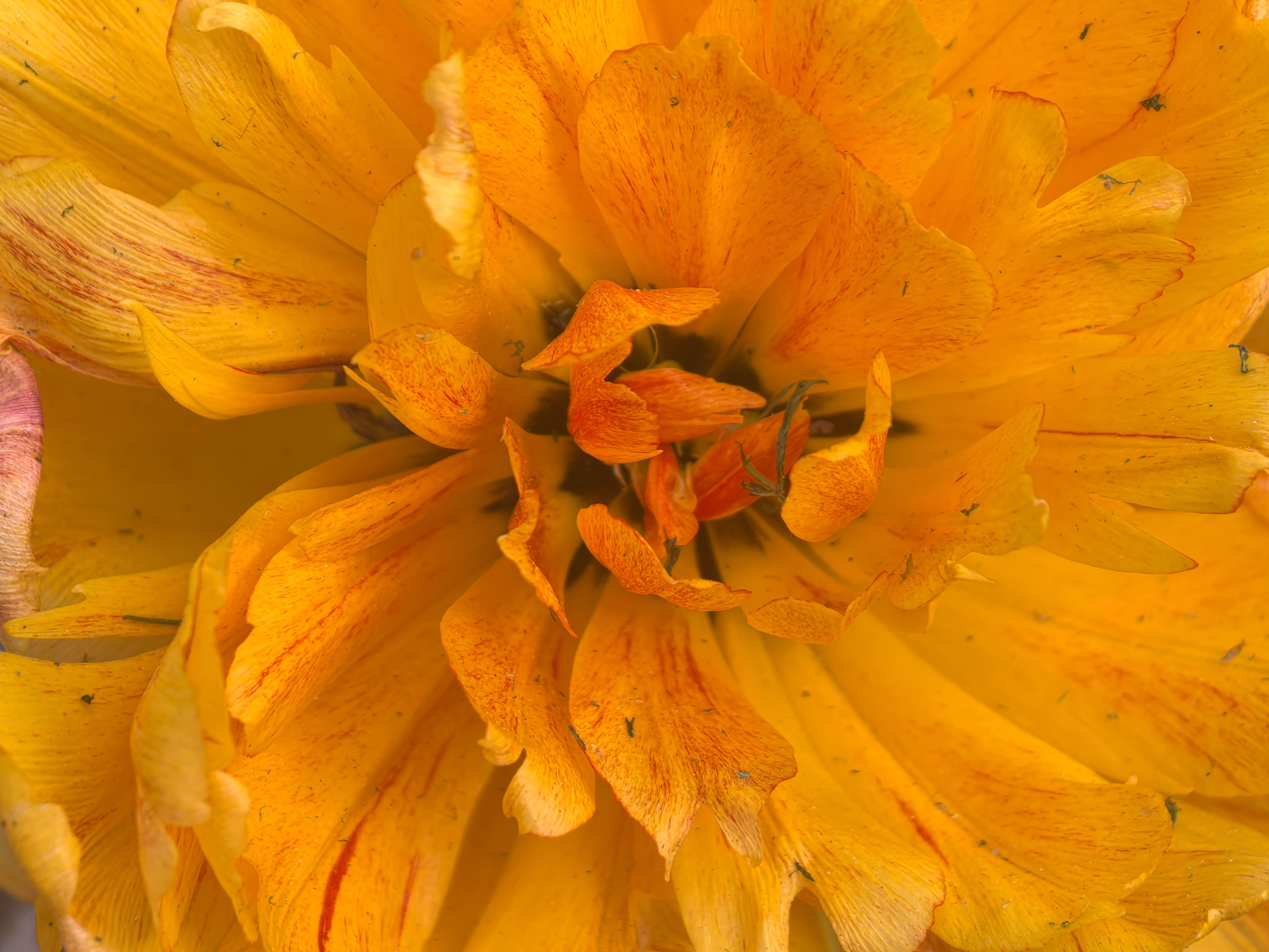 ПочтиМАКРО. Школьные выпускные альбомы в Москве Марина Николаева