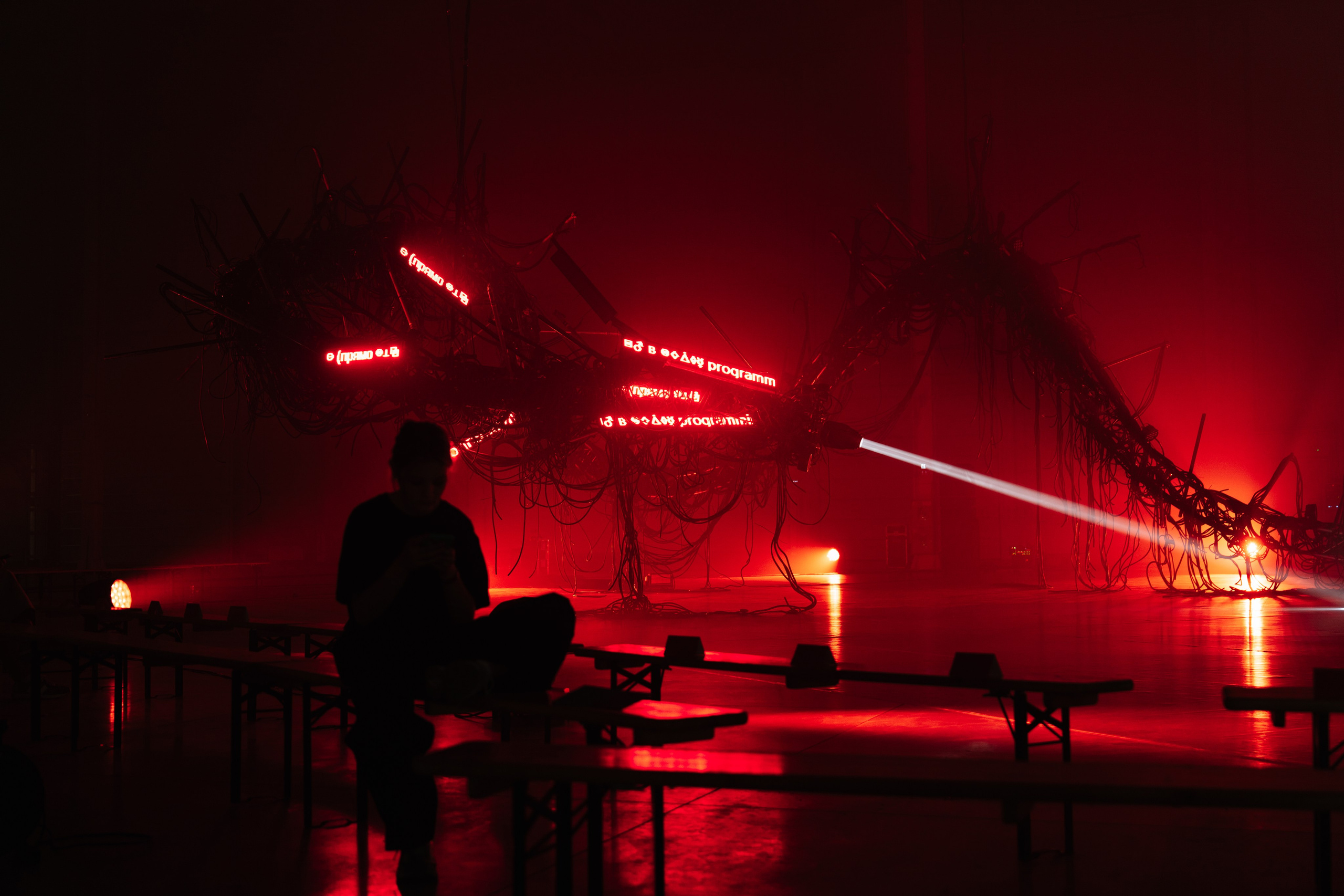 PERFORMA, The Hour of the Horse. @tomrus: Рустам Шагиморданов — фотограф