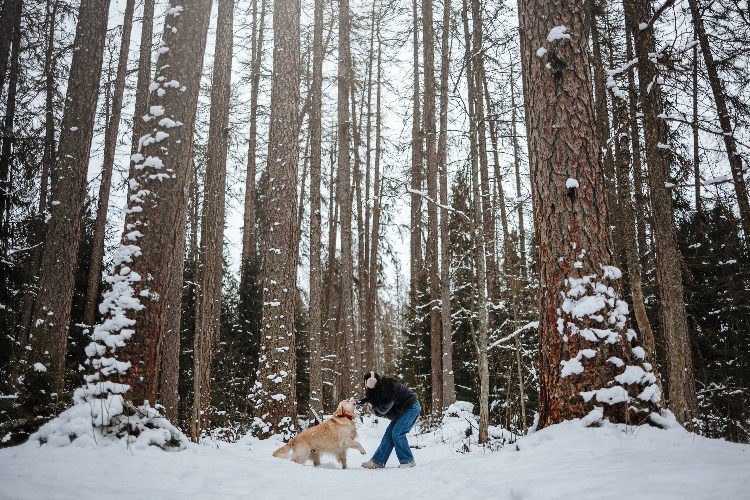 Вика и Лёва. Фотограф — Анималист | Санкт-Петербург
