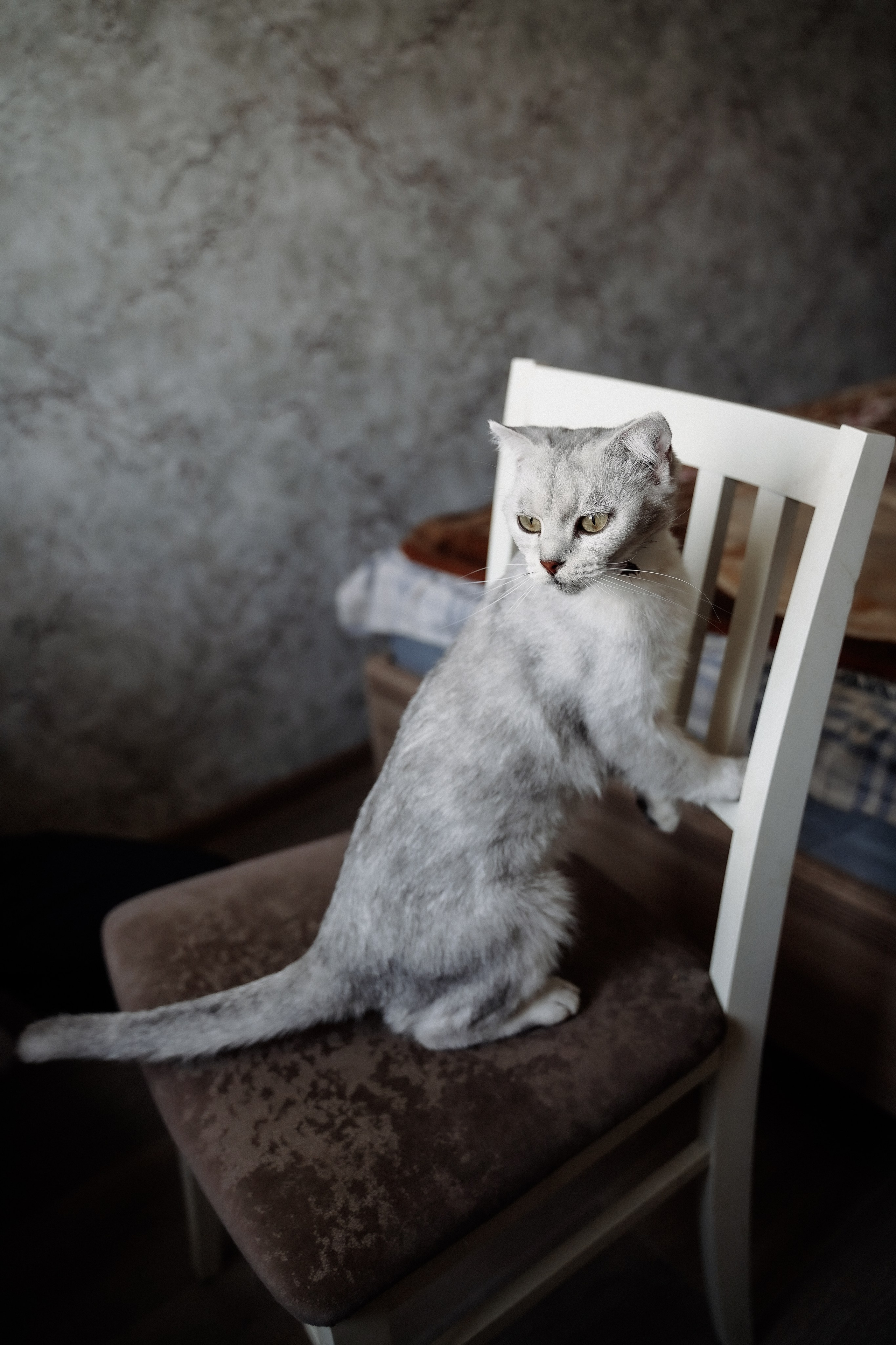 Наталья & Егор. Фотосъемка и видеосъемка свадеб Липецк