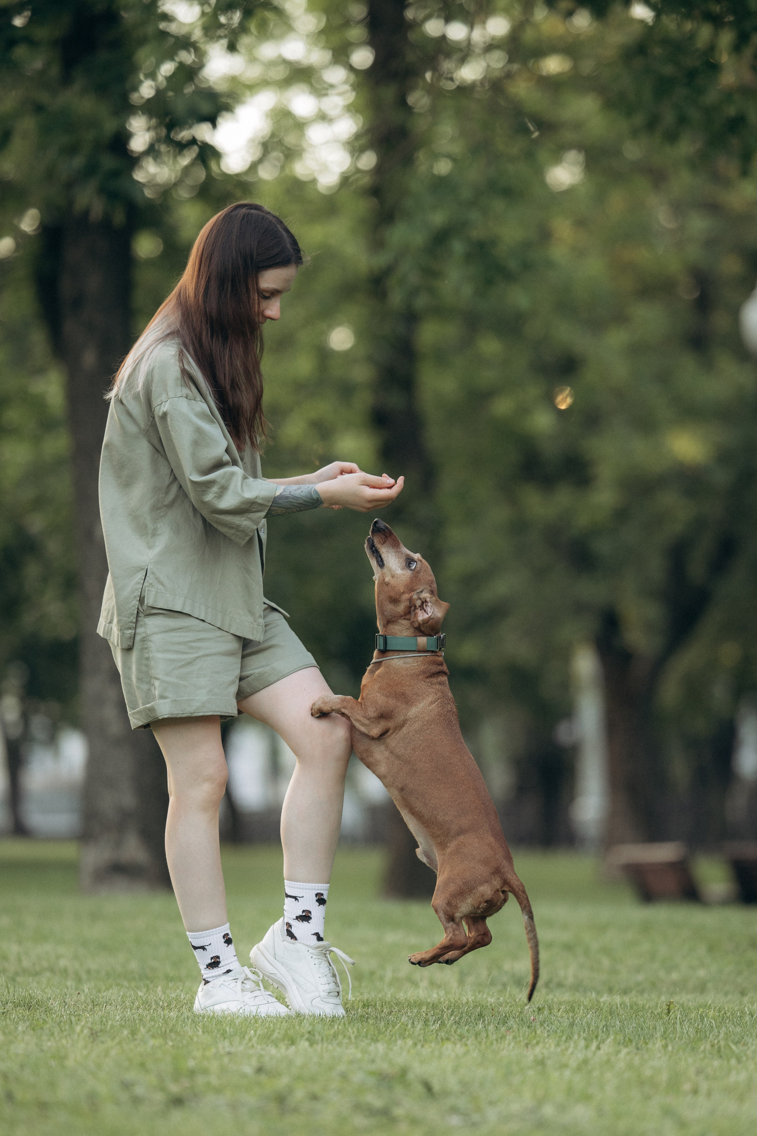 Минск. Алина и Сэм. Фотограф анималист в Казани Алина Сулейманова. Фотограф животных