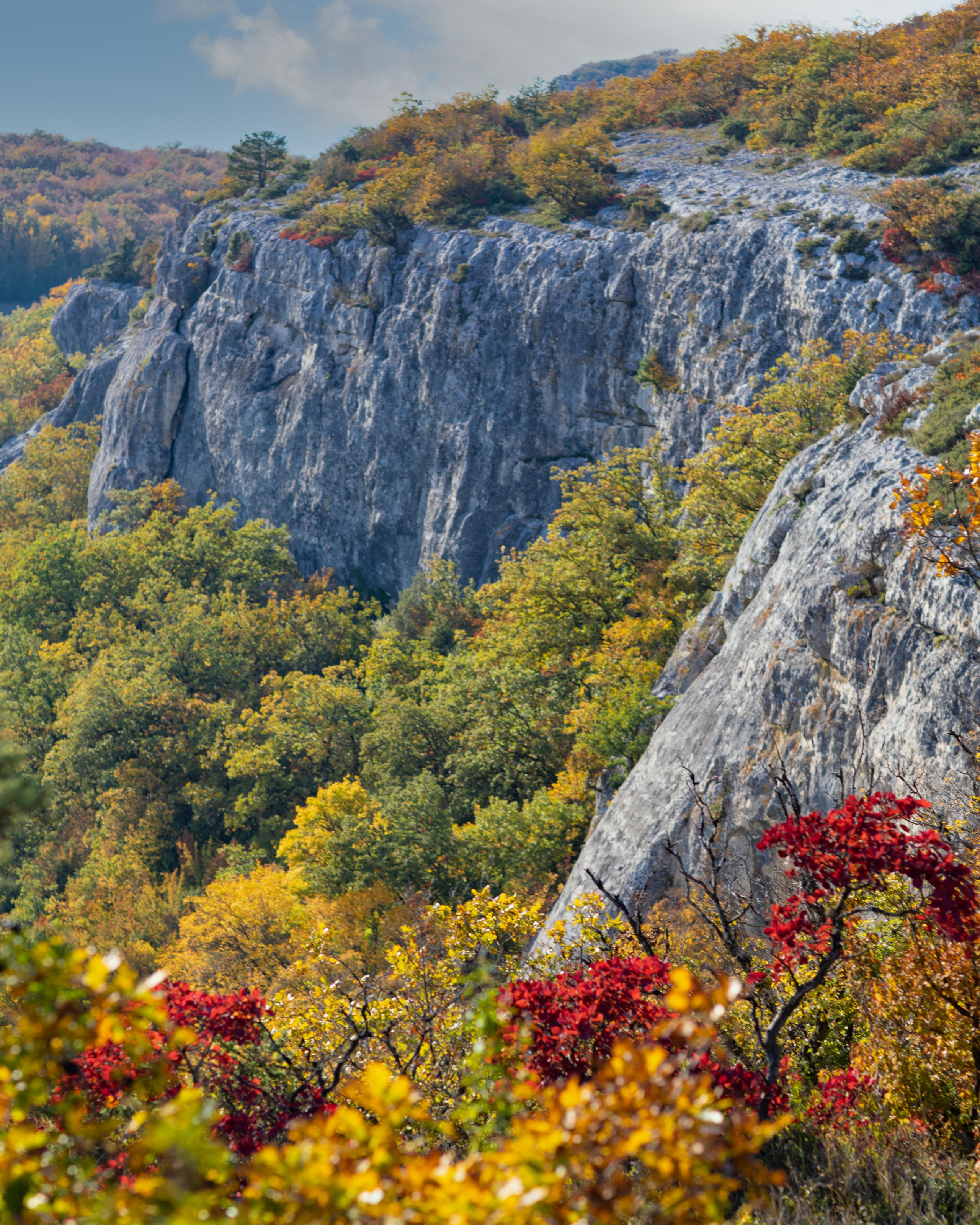 ШУЛДАН. Фотограф Севастополь/Крым Светлана Евтушенко