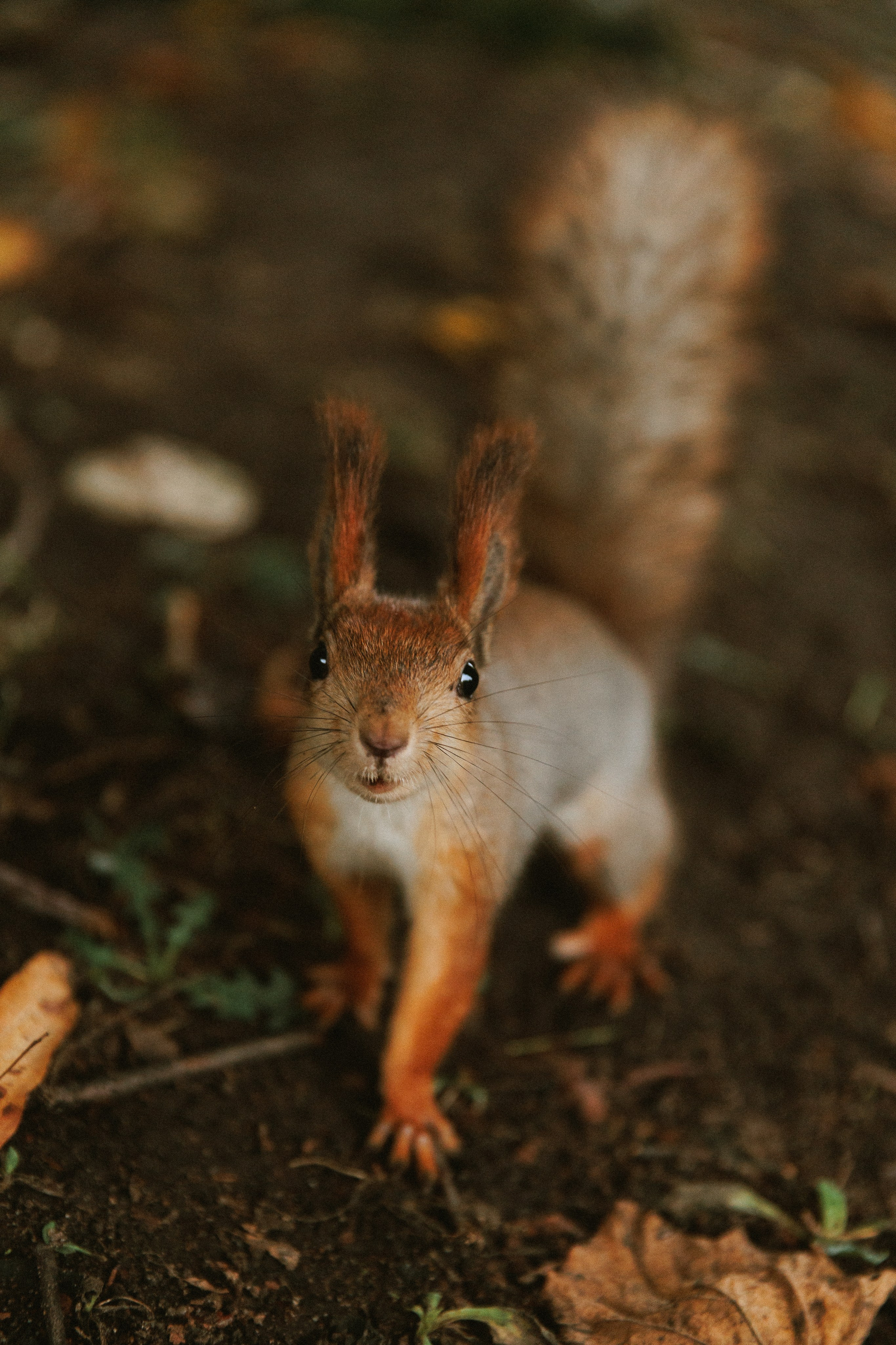 Богдан и Яна. Фотограф в Москве Людмила Малова