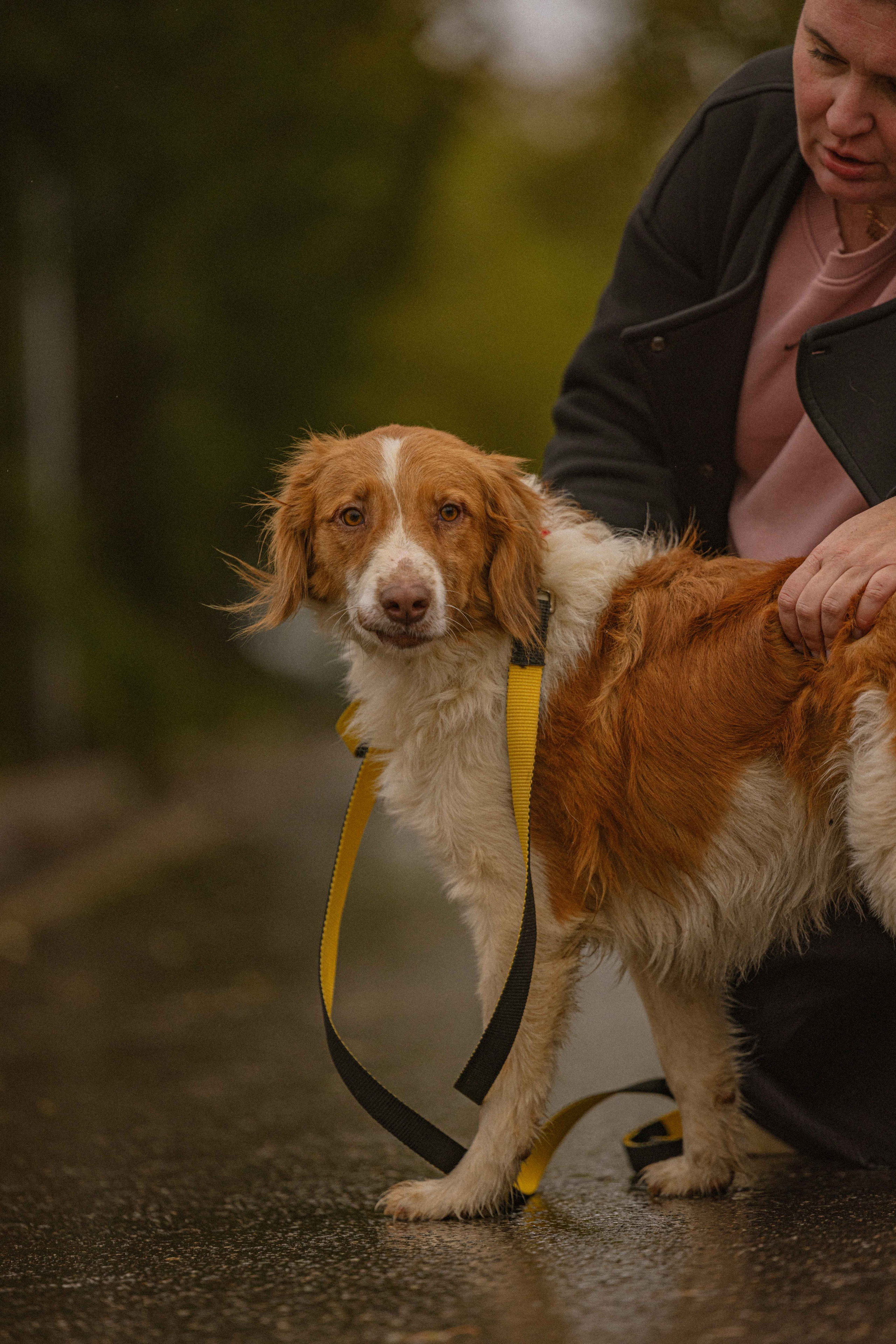 Передержка. Фотограф-анималист в Москве Лера Черноног