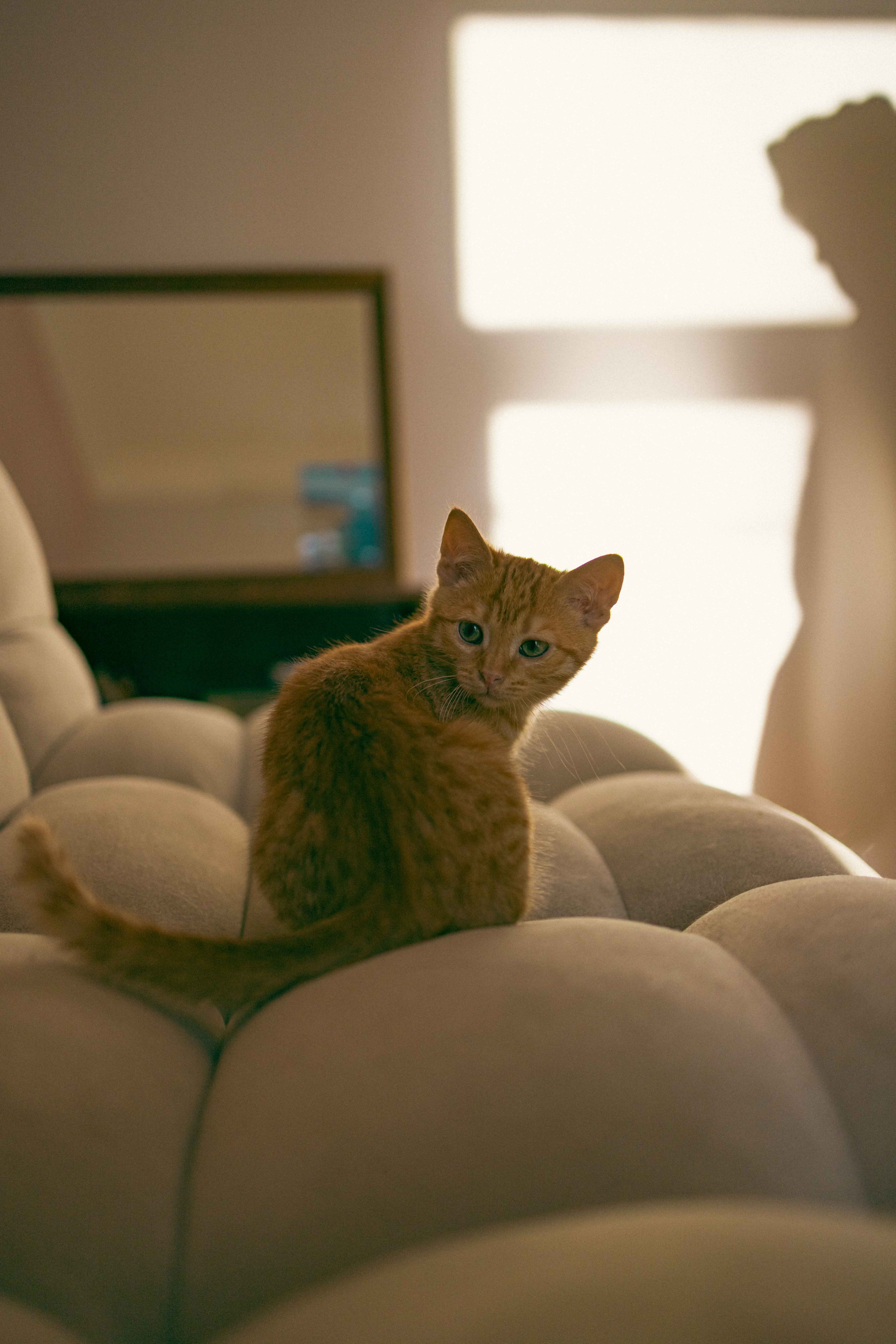 Кускус. Фотограф-анималист в Москве Лера Черноног