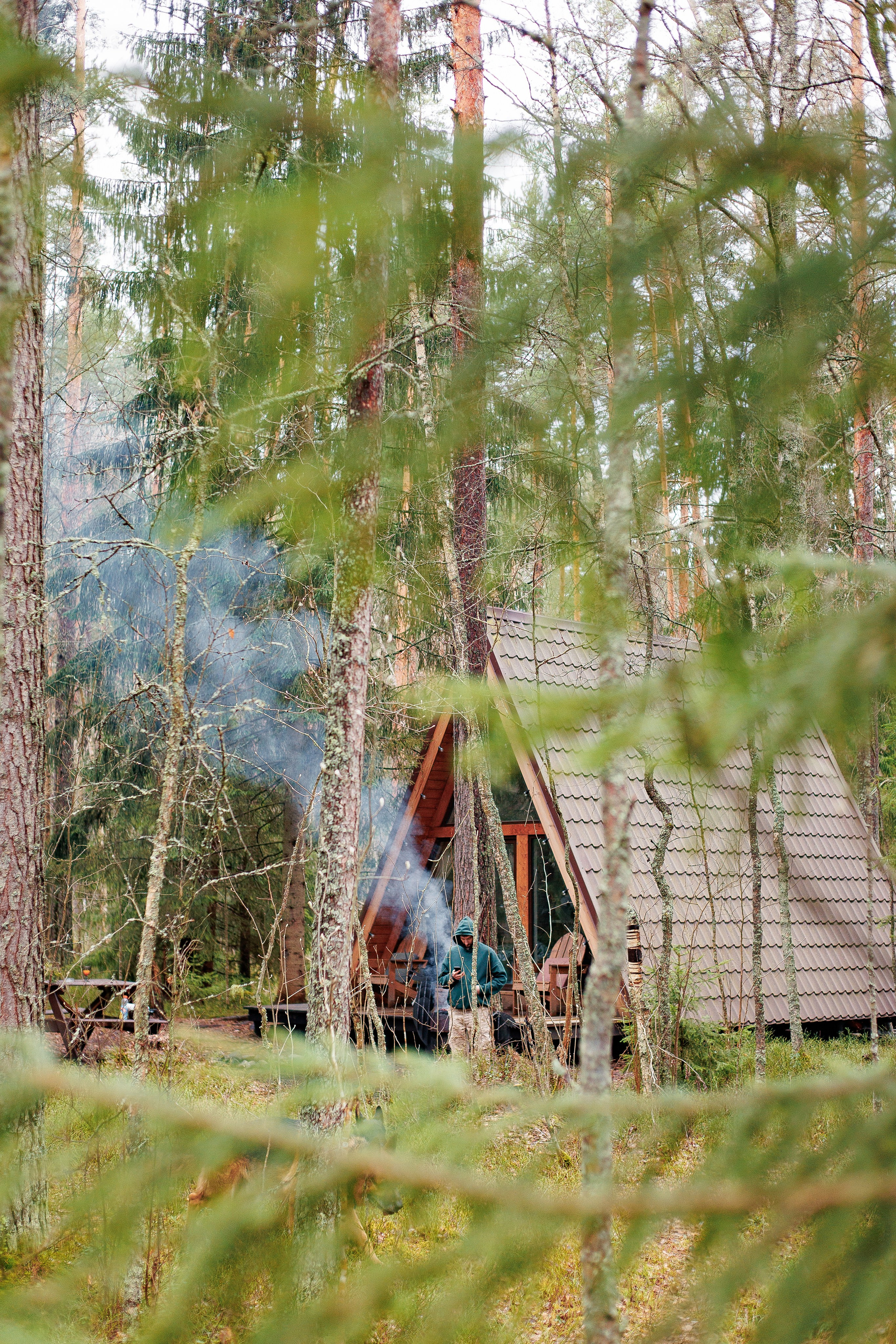 Shanti Home. Фотограф-анималист Наталия Чистюхина в г. Сосновый Бор и ЛО