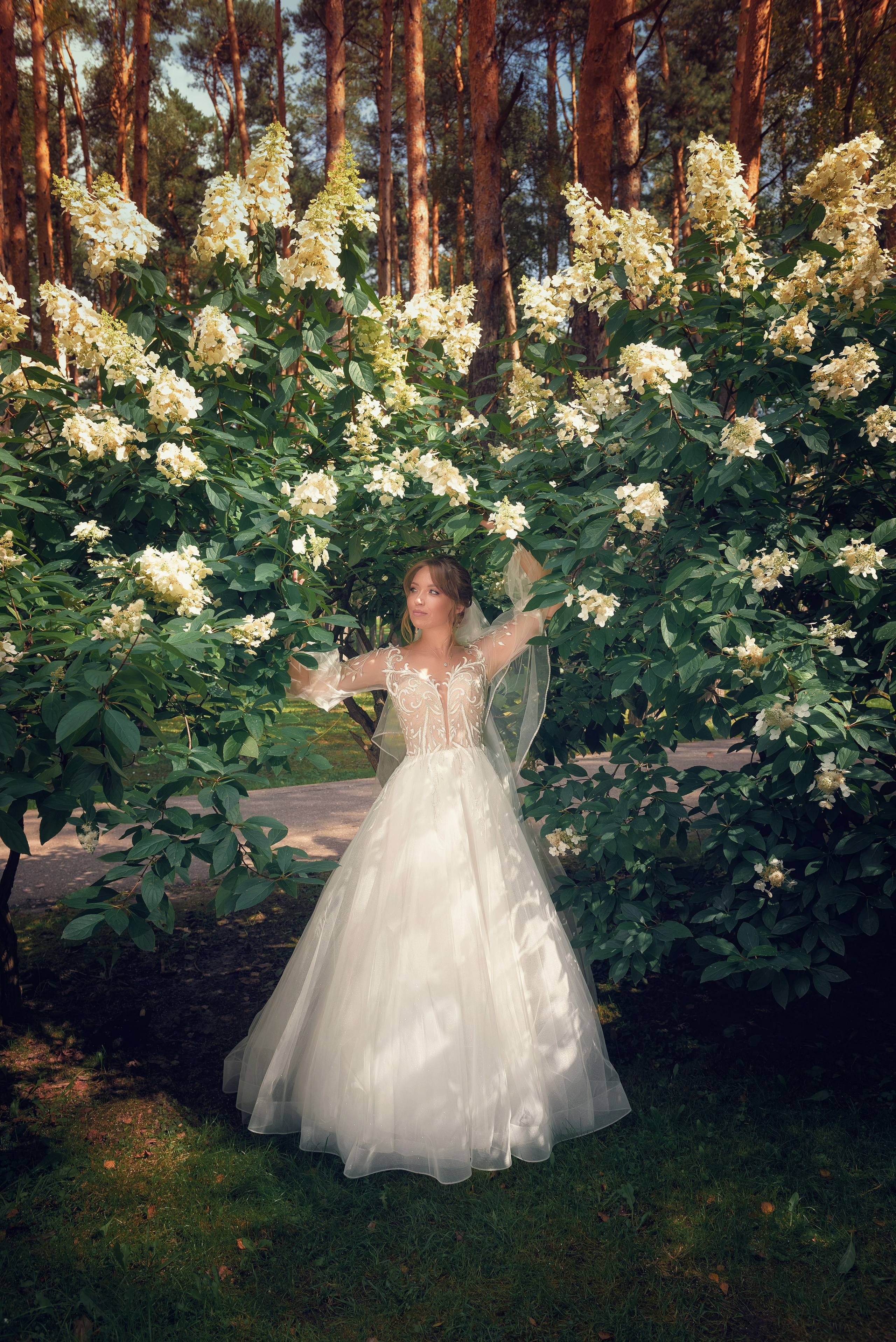 Фотографии. Творческая студия «Махавик». Свадебная фото и видеосъёмка в Подольске