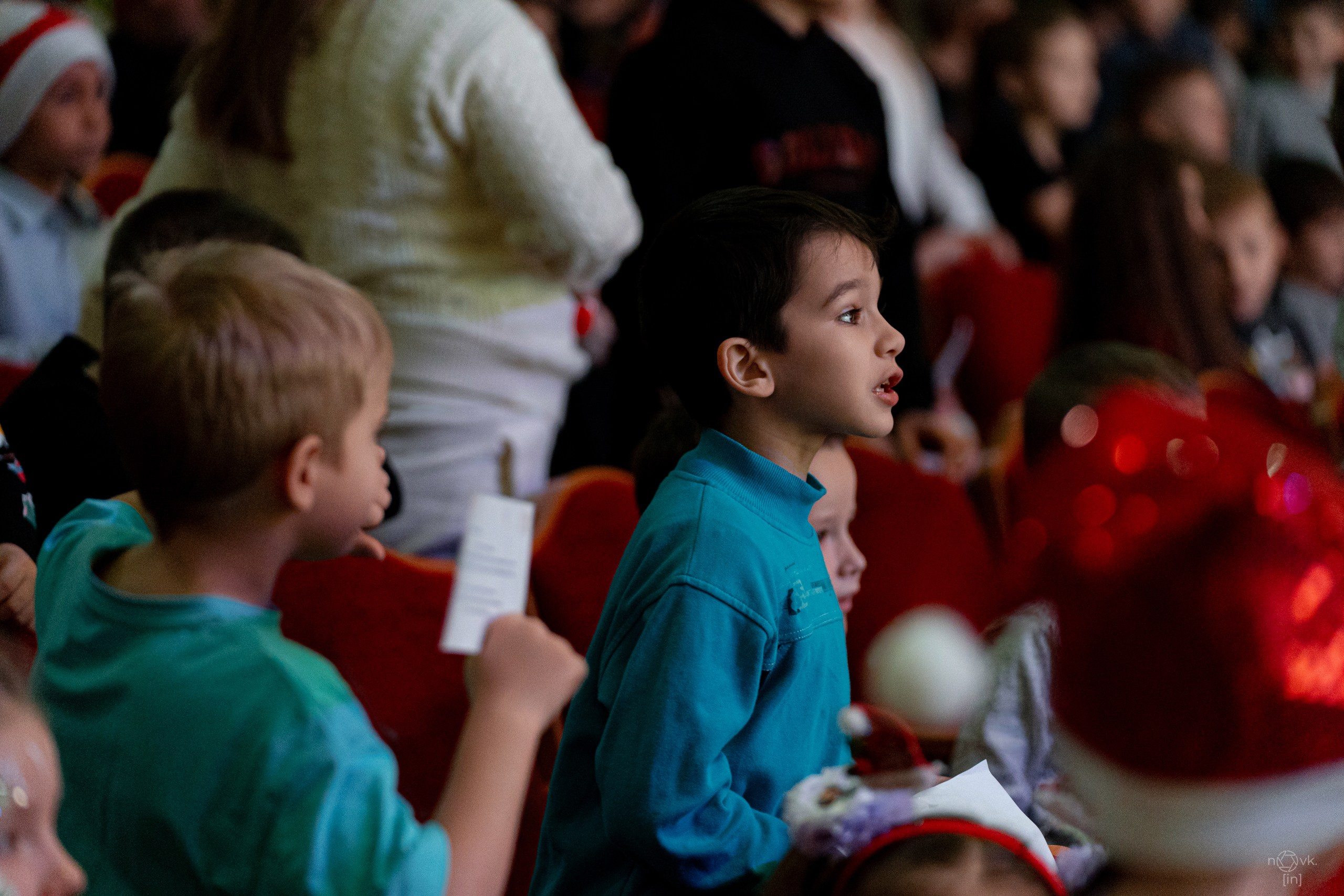 Ёлка. ФОТОГРАФ ИВАН НОВИКОВ | СТАВРОПОЛЬ