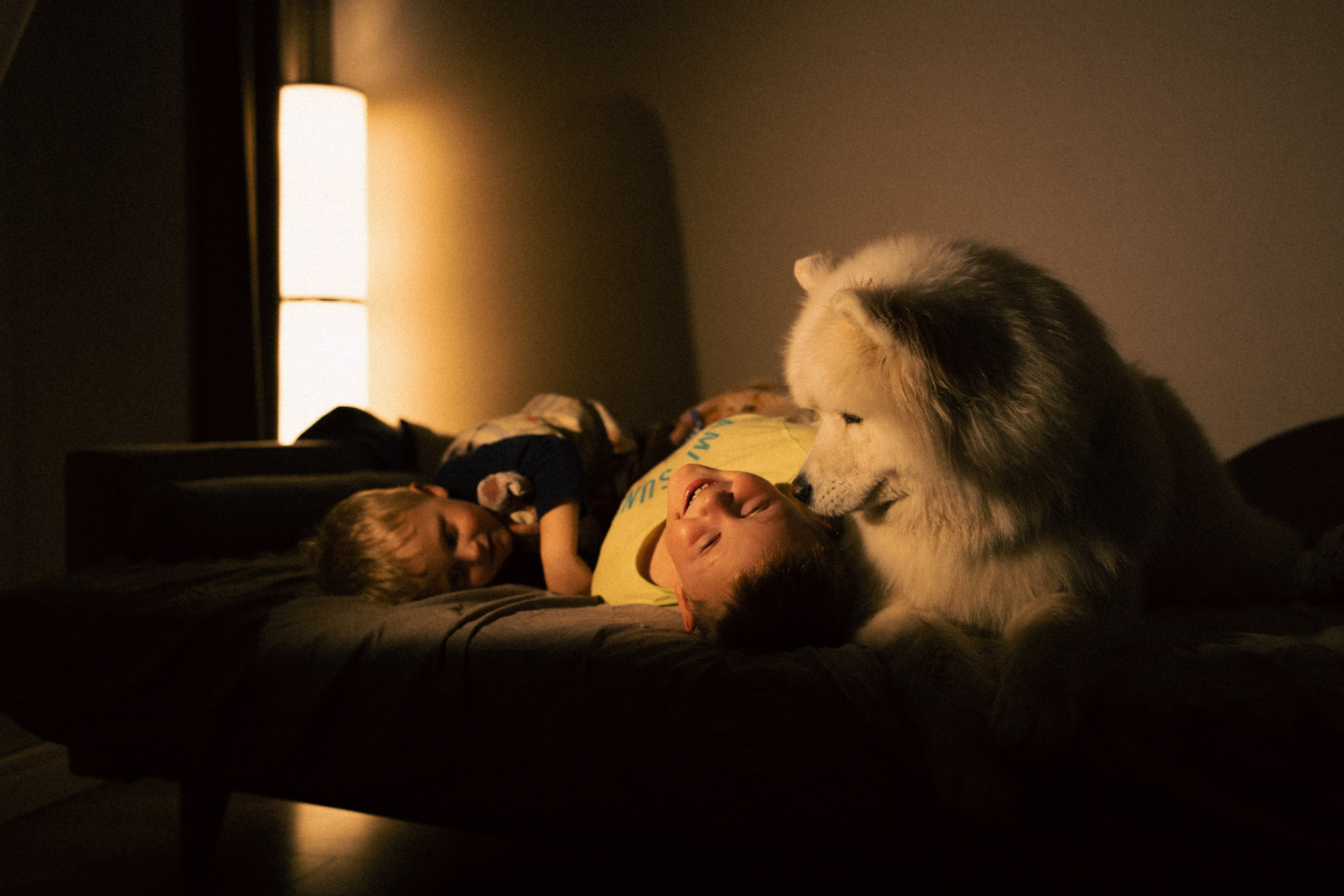 Мальчишки. Фотограф анималист в Москве Майорова Евгения