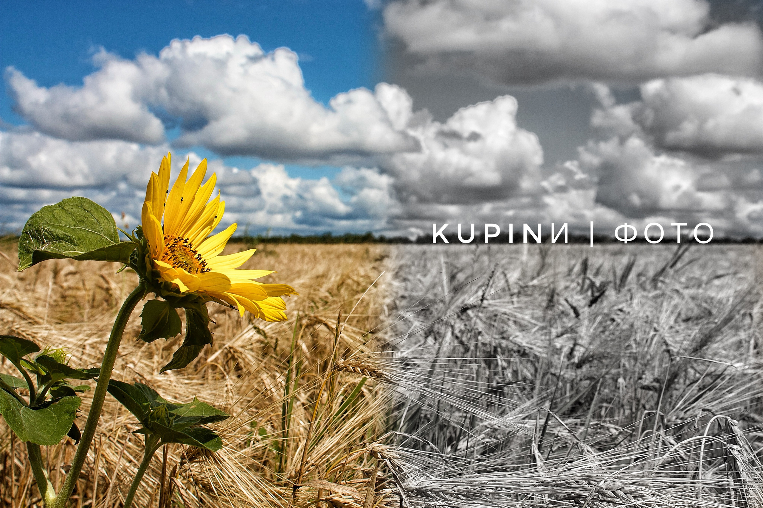 KUPINИ | ФОТО — сайт портфолио по мультижанровой съёмке | фотограф Сергей Мар