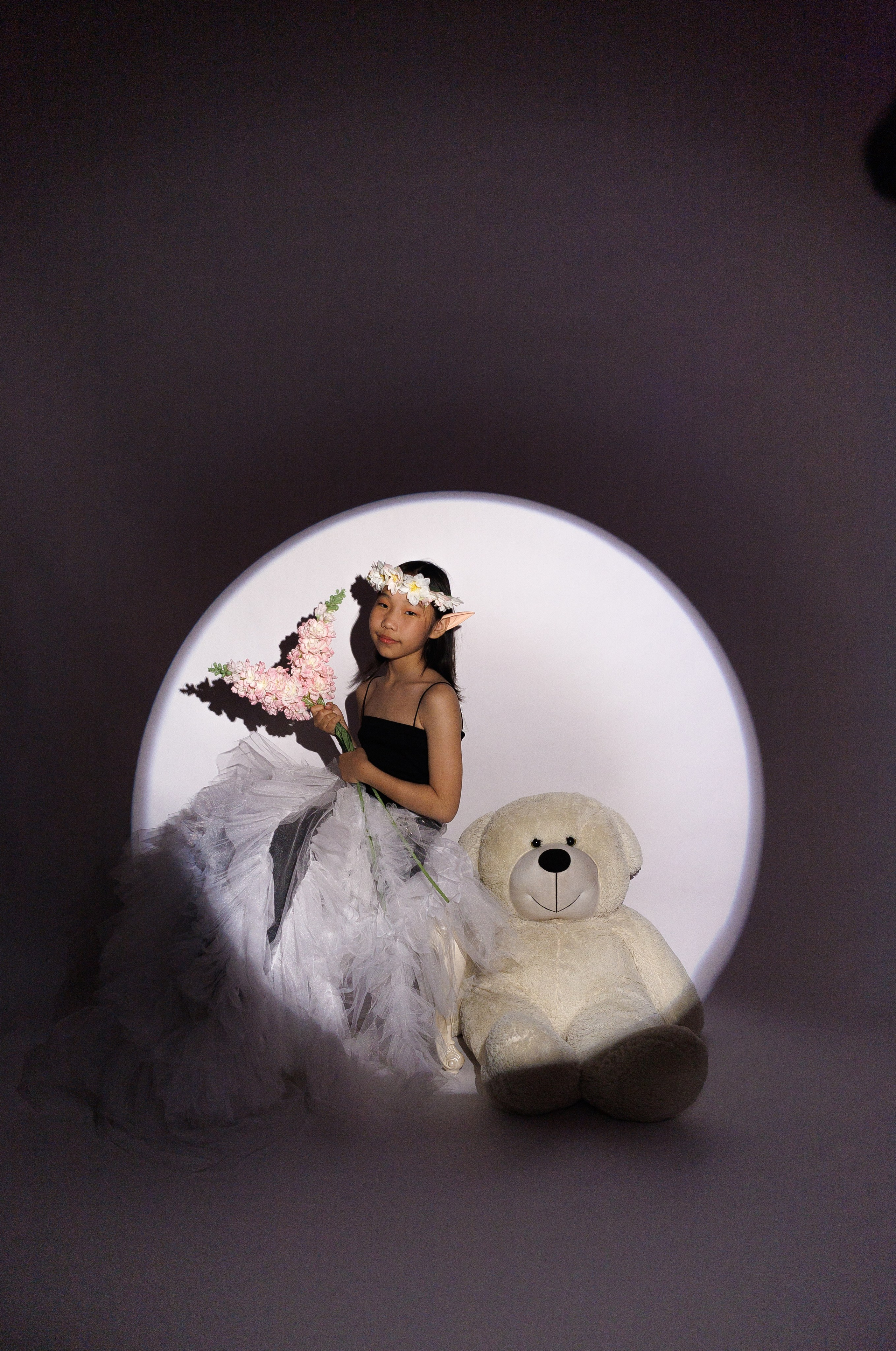 Портфолио. Услуги