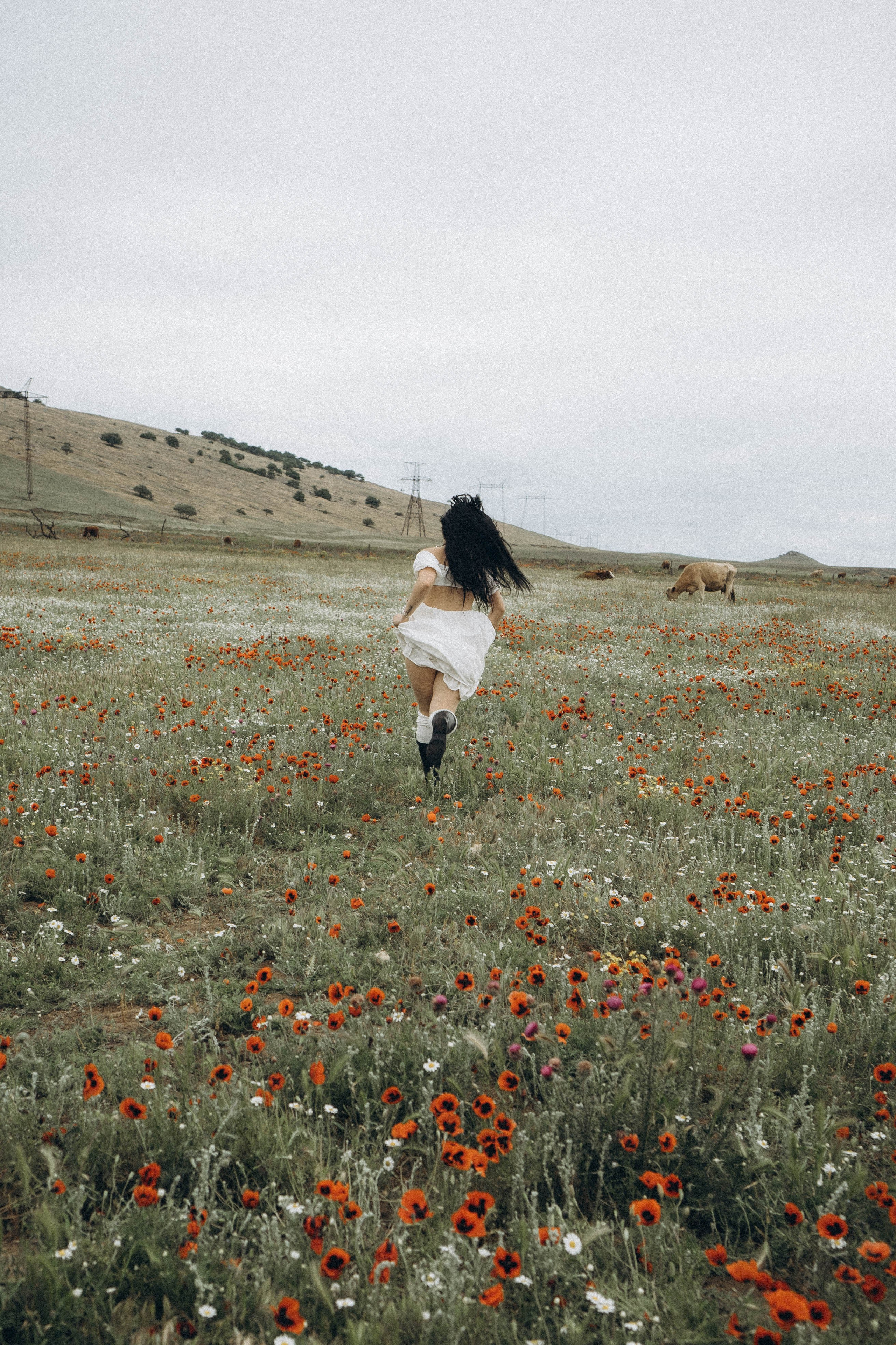 Маковое поле. Профессиональный фотограф, Санкт-Петербург — Виктория Богомолова