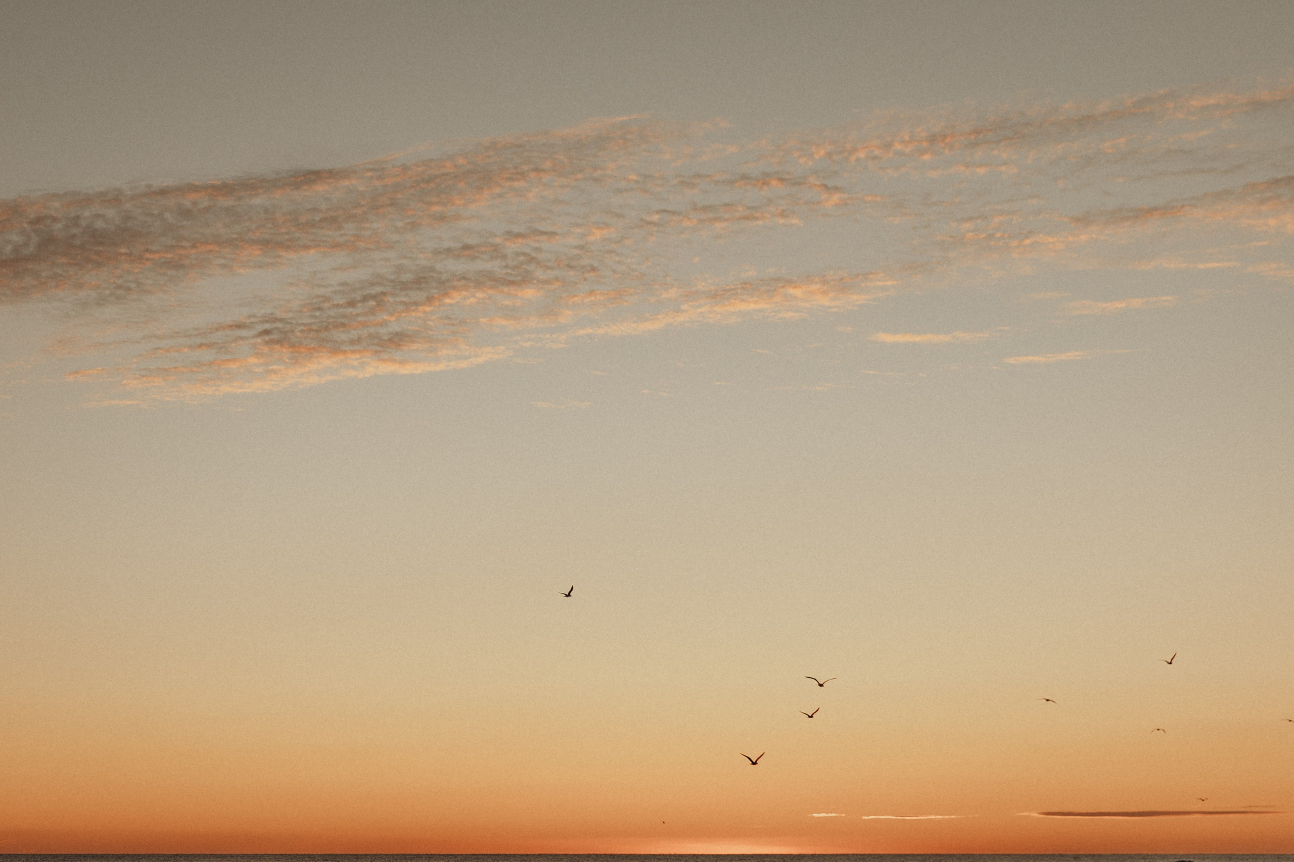 Саша Юля и Вера. Семейный фотограф в Новороссийске и Анапе Александра Яковлева