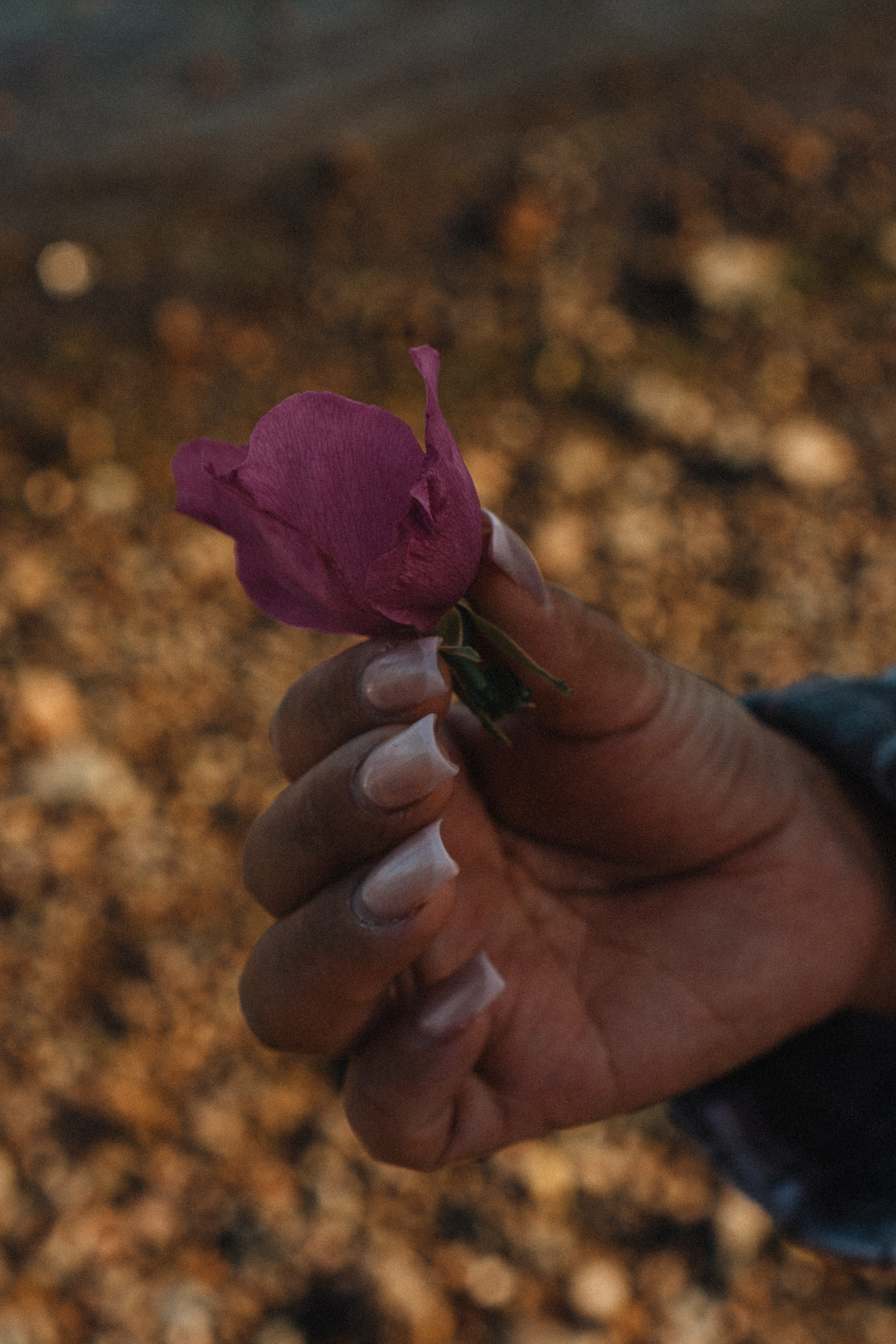 МАМА И ДОЧКА НА ФИНСКОМ ЗАЛИВЕ. Профессиональный фотограф, Санкт-Петербург — Виктория Богомолова