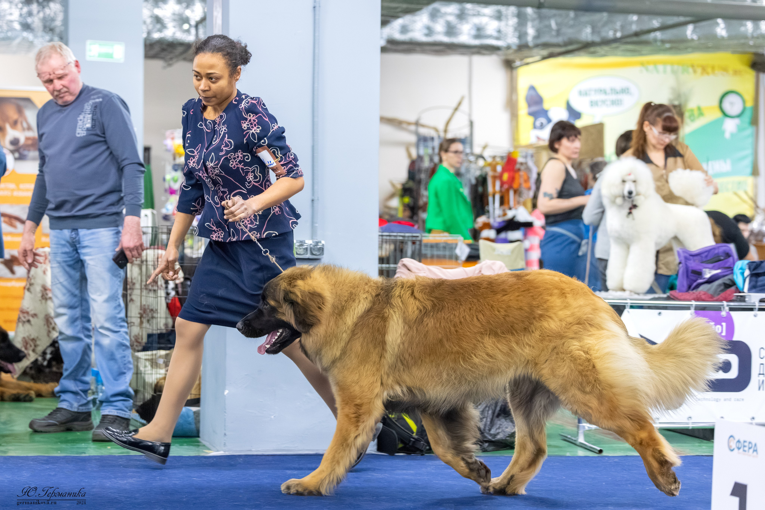 Сфера 17.03.2024. Фотограф-анималист Юлия Германика