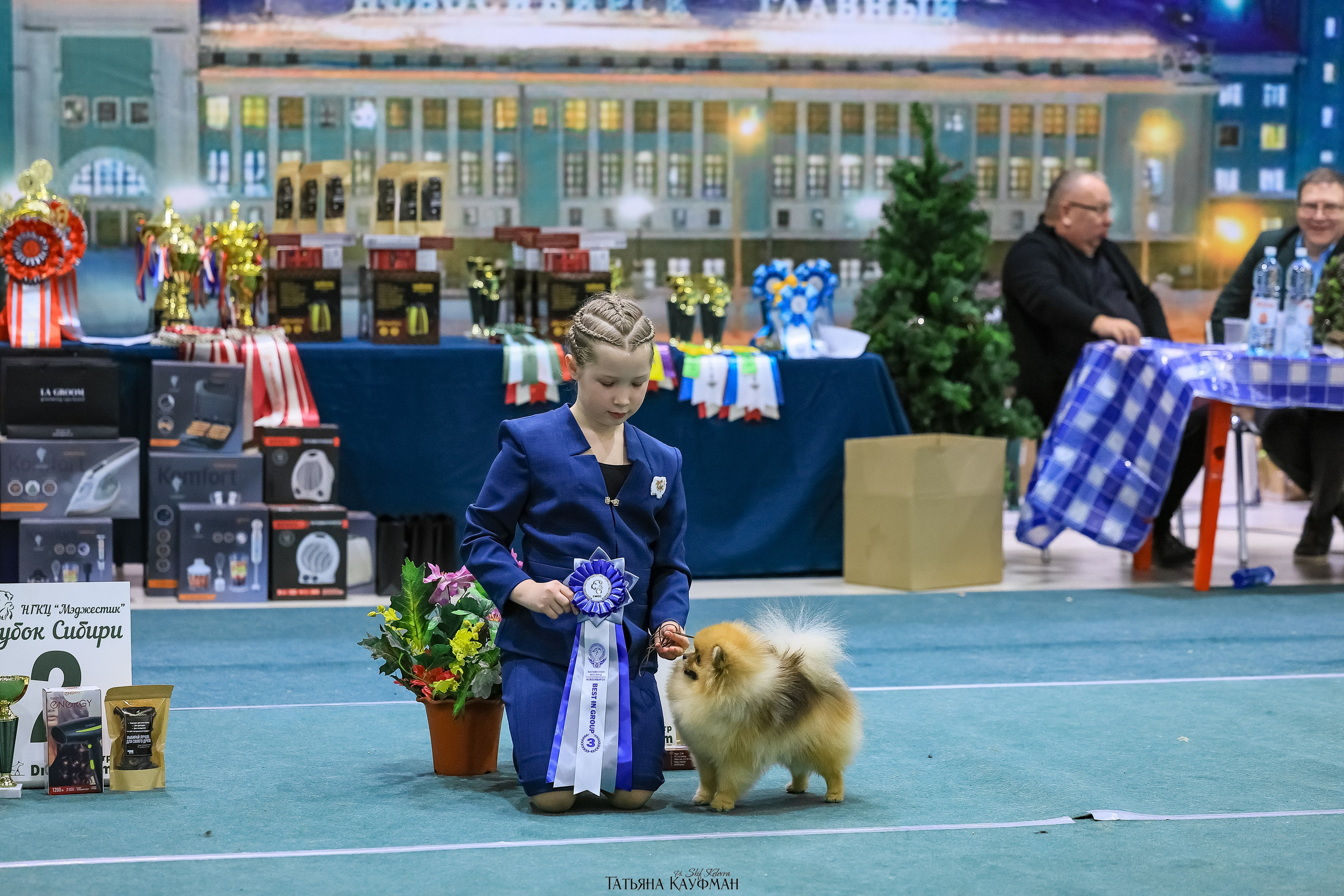 6-7.12.25 — 1-4 Национальные выставки собак в Новосибирске (2х рейтинговые). Фотограф Анималист из Новосибирска Татьяна Кауфман