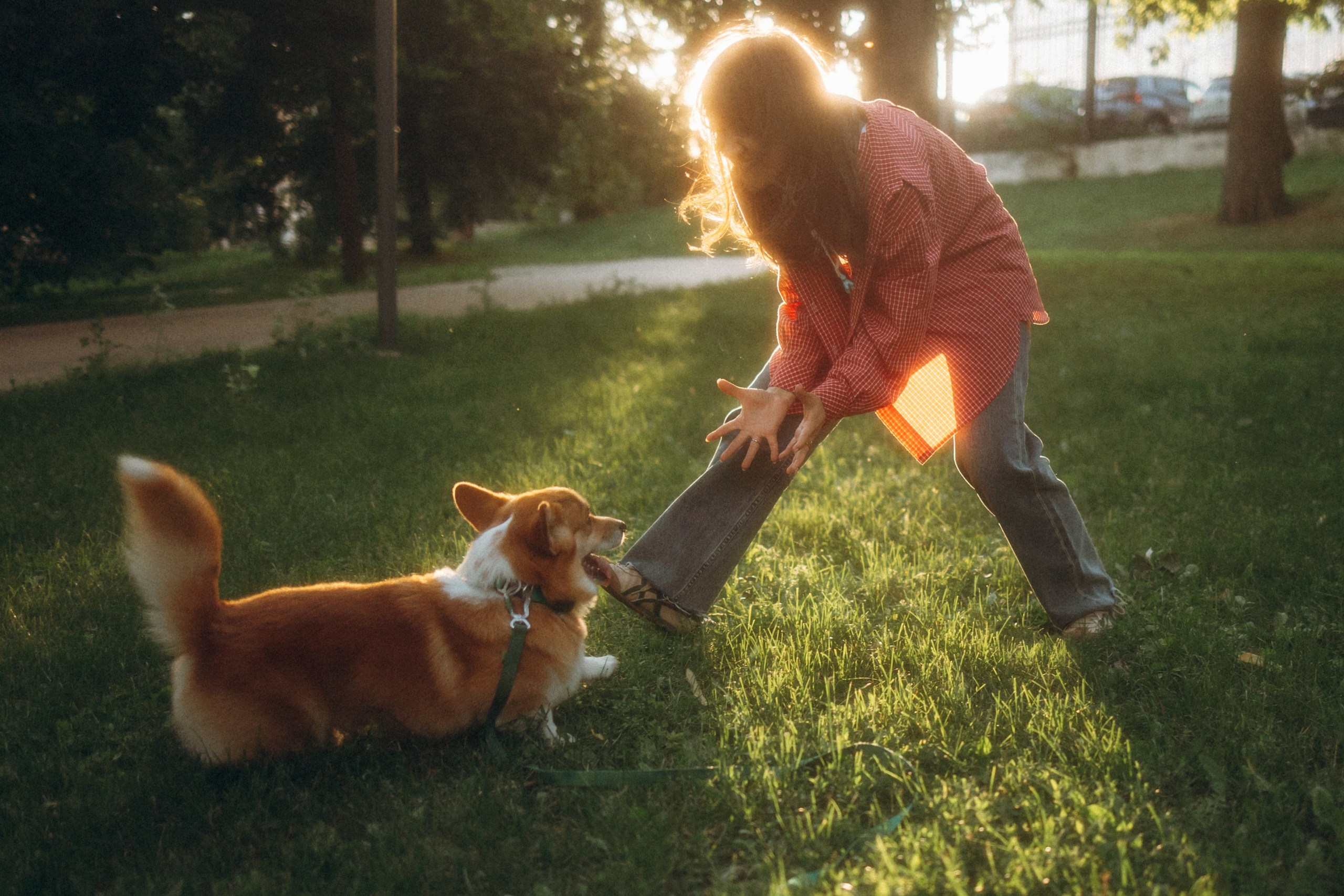 Момо, Люда и Эд. Фотограф анималист Анастасия Пикей